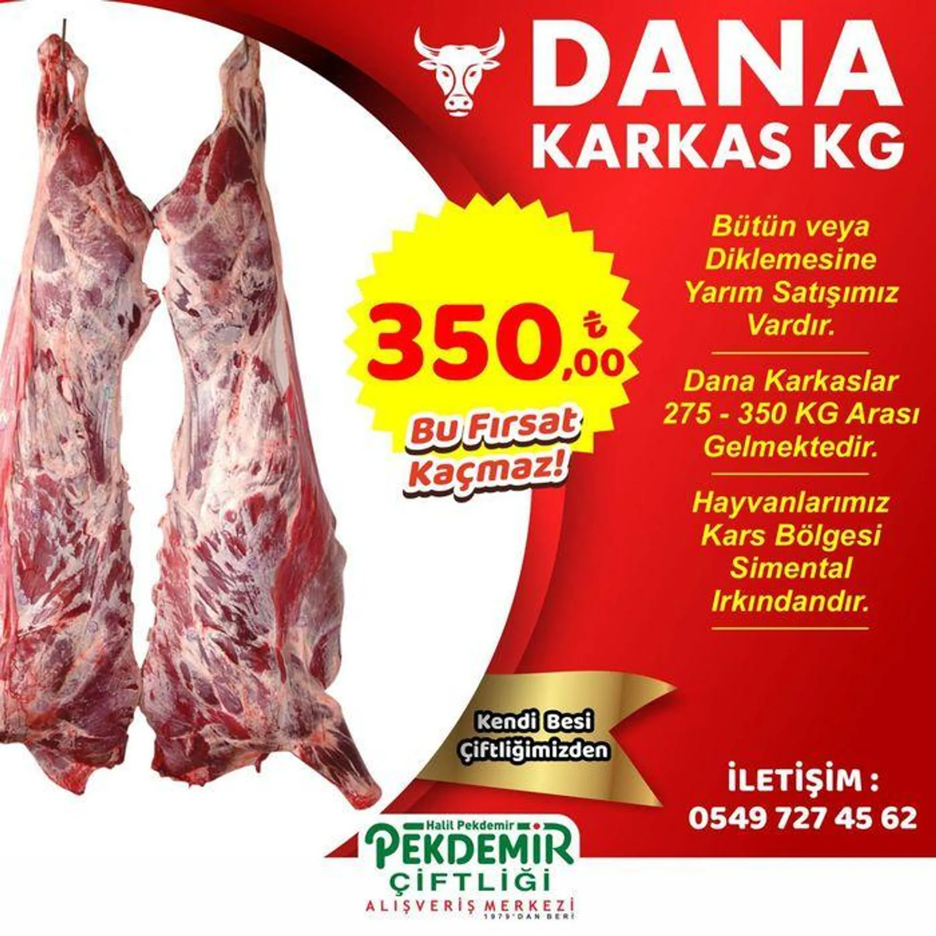 Katalog DANA KARKAS KG 18 Eylül - 2 Ekim 2024 - aktüel Sayfa 1