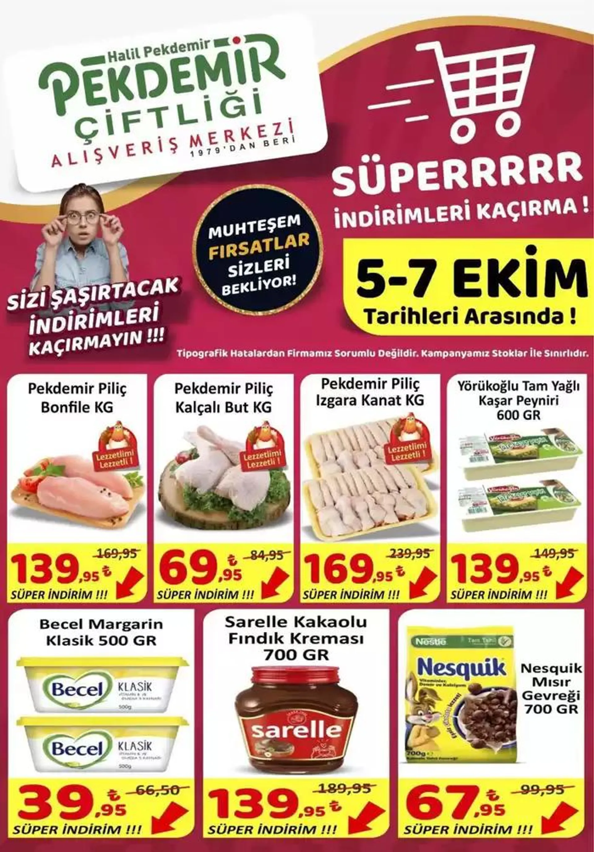 Pekdemir katalog - 1