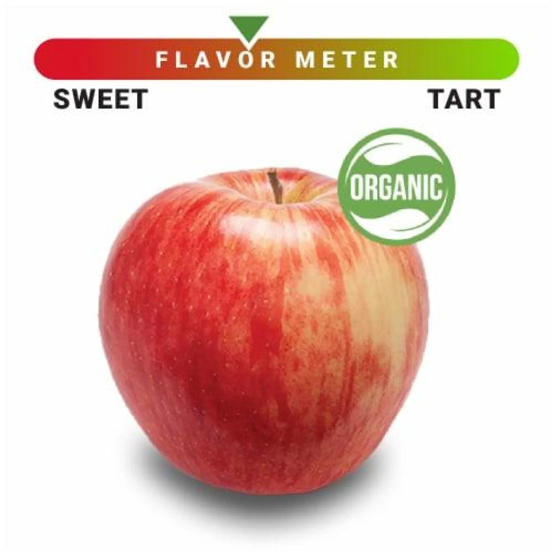 Simple Truth Organic Large Honeycrisp Apple - Each