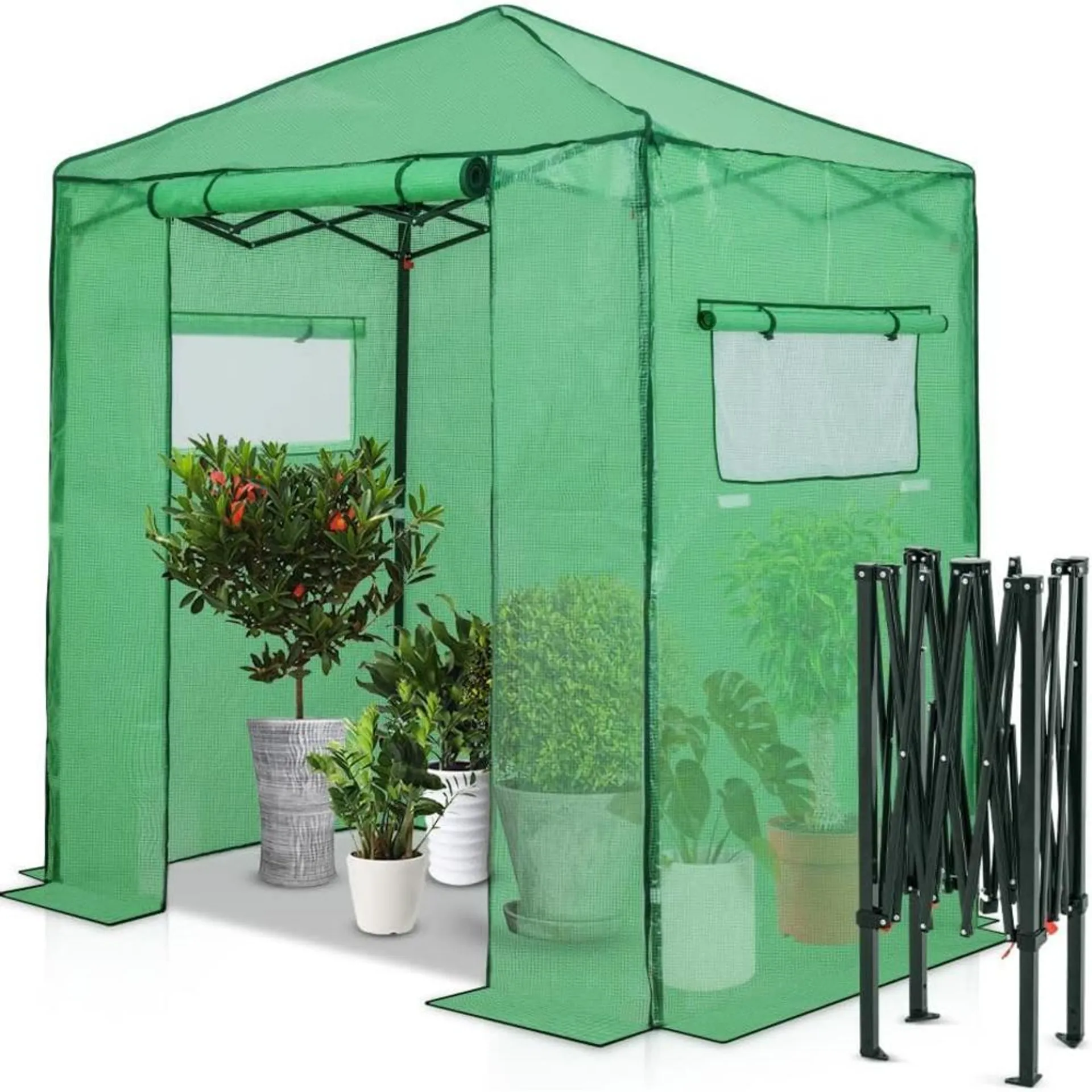 EAGLE PEAK 6 'x 4' Portable Walk-in Greenhouse Instant Pop-up Fast Setup Indoor Outdoor Plant Gardening Green House Canopy, Fron