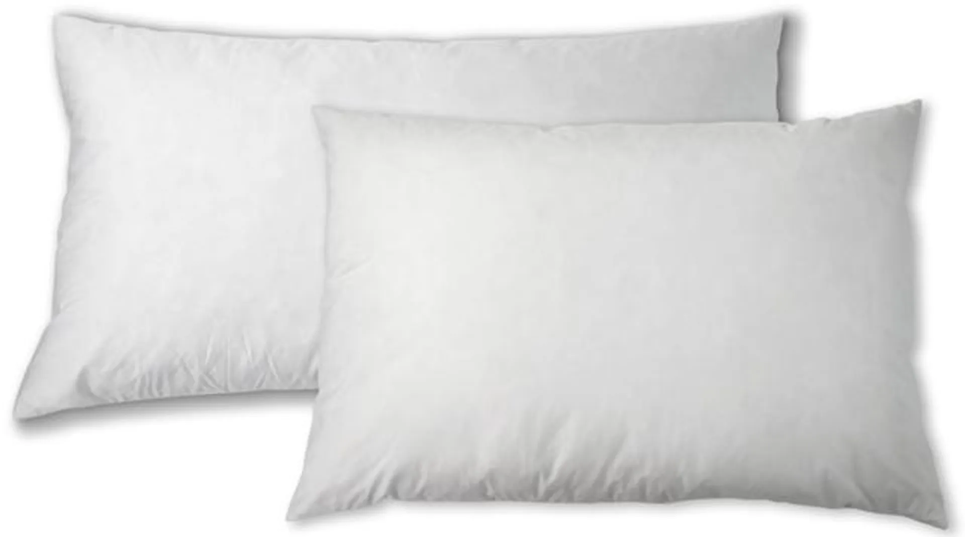 Back2Basics White Down Blend Pillow - King 22 x 38 in. -Pack of 2