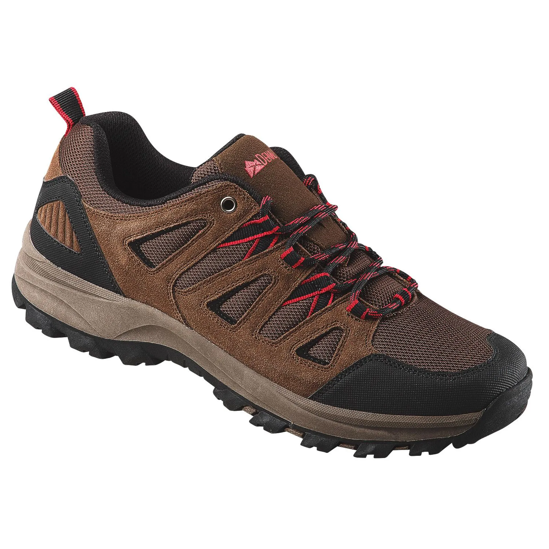 Denali Backcountry Men's Hiking Shoes