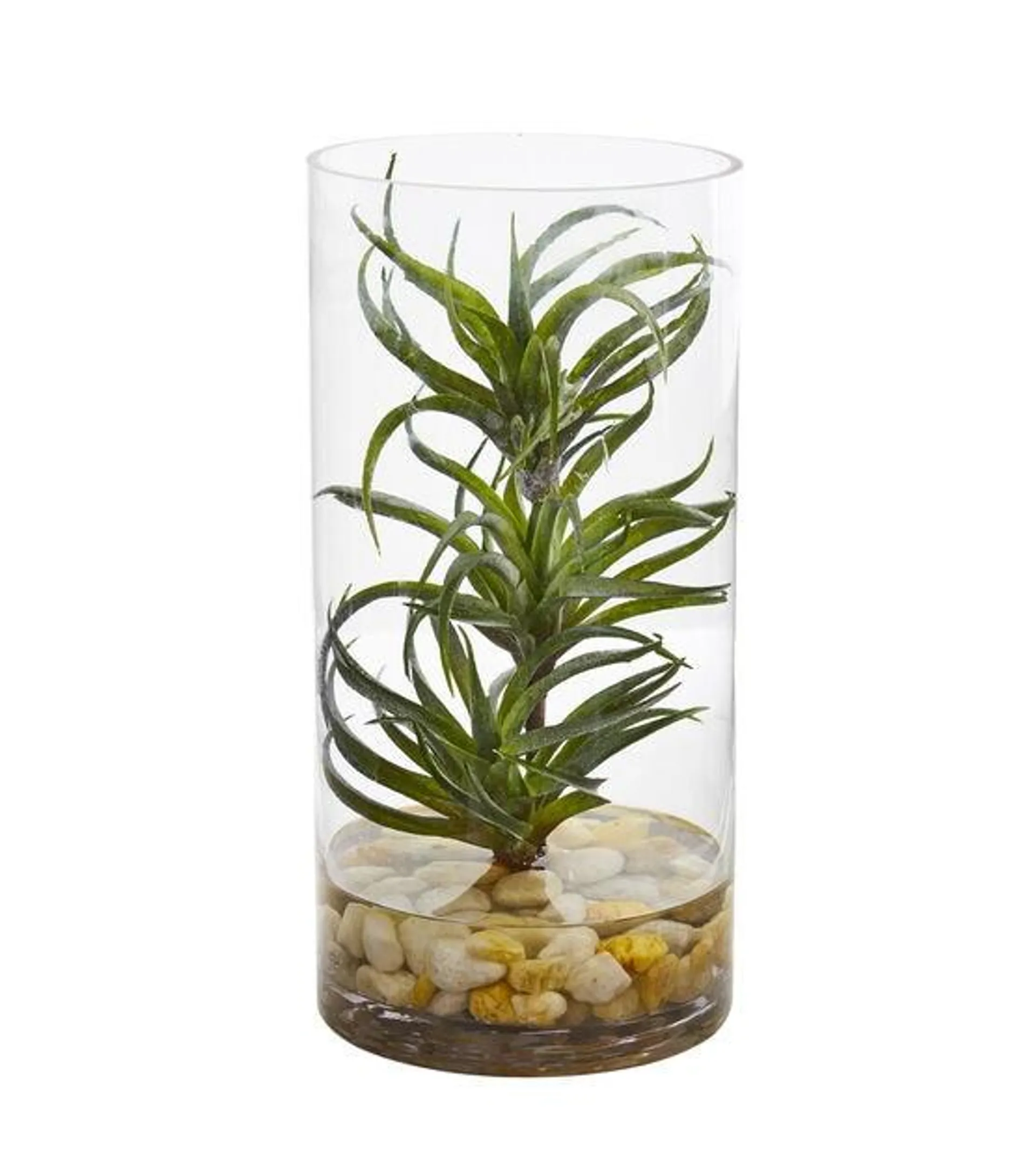 Nearly Natural Air Plant Artificial Succulent in Glass Vase