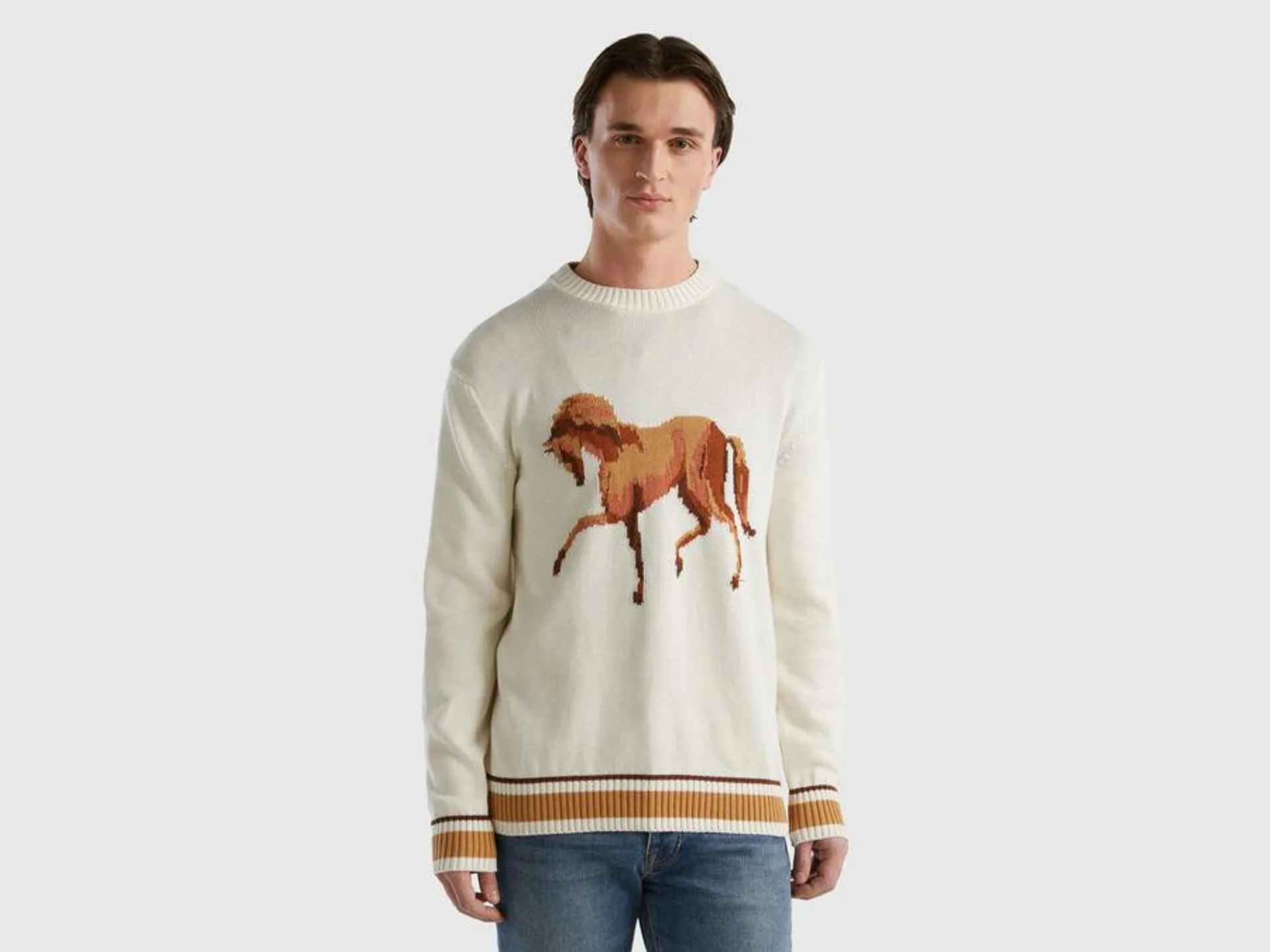 Sweater with horse inlay