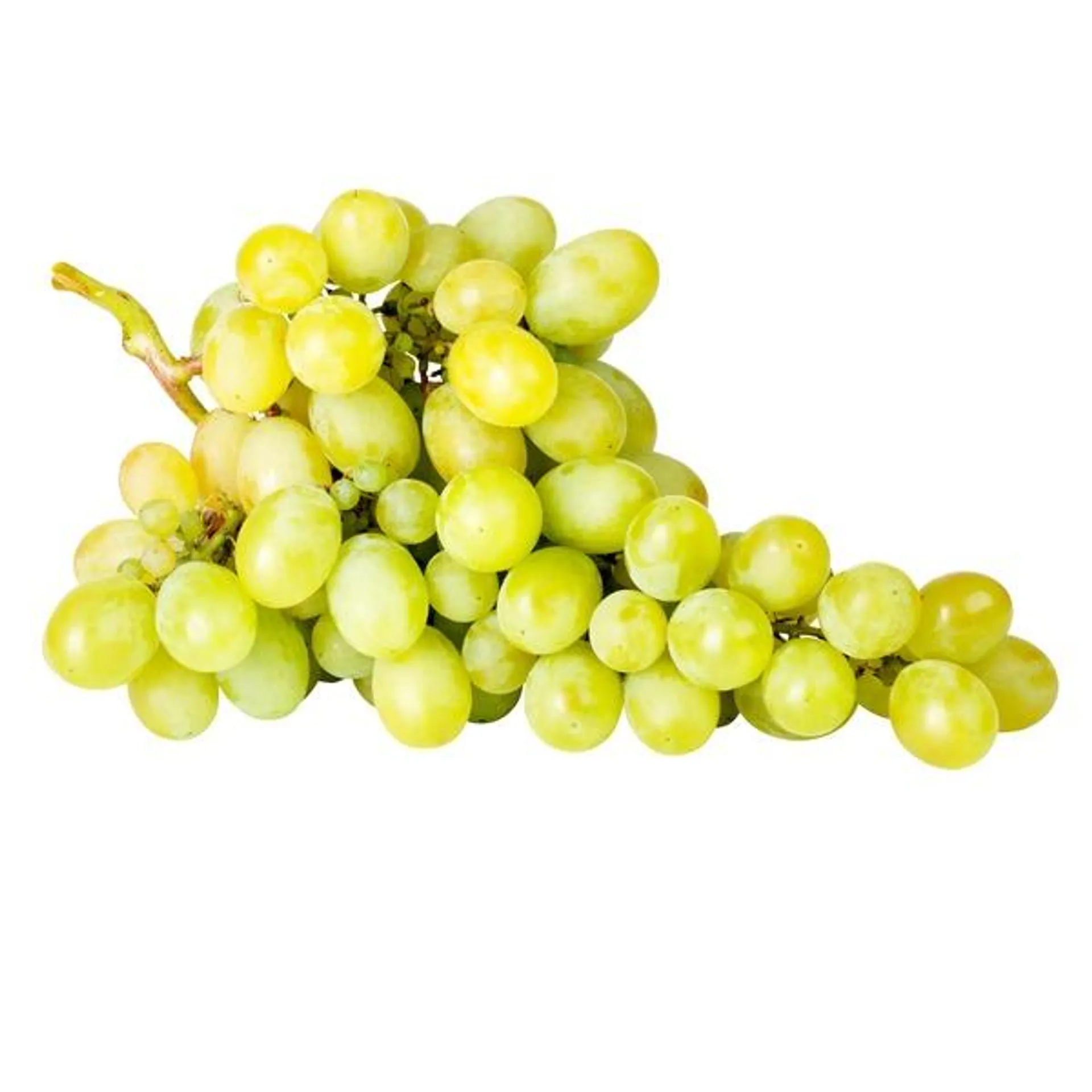 White Seedless Grapes