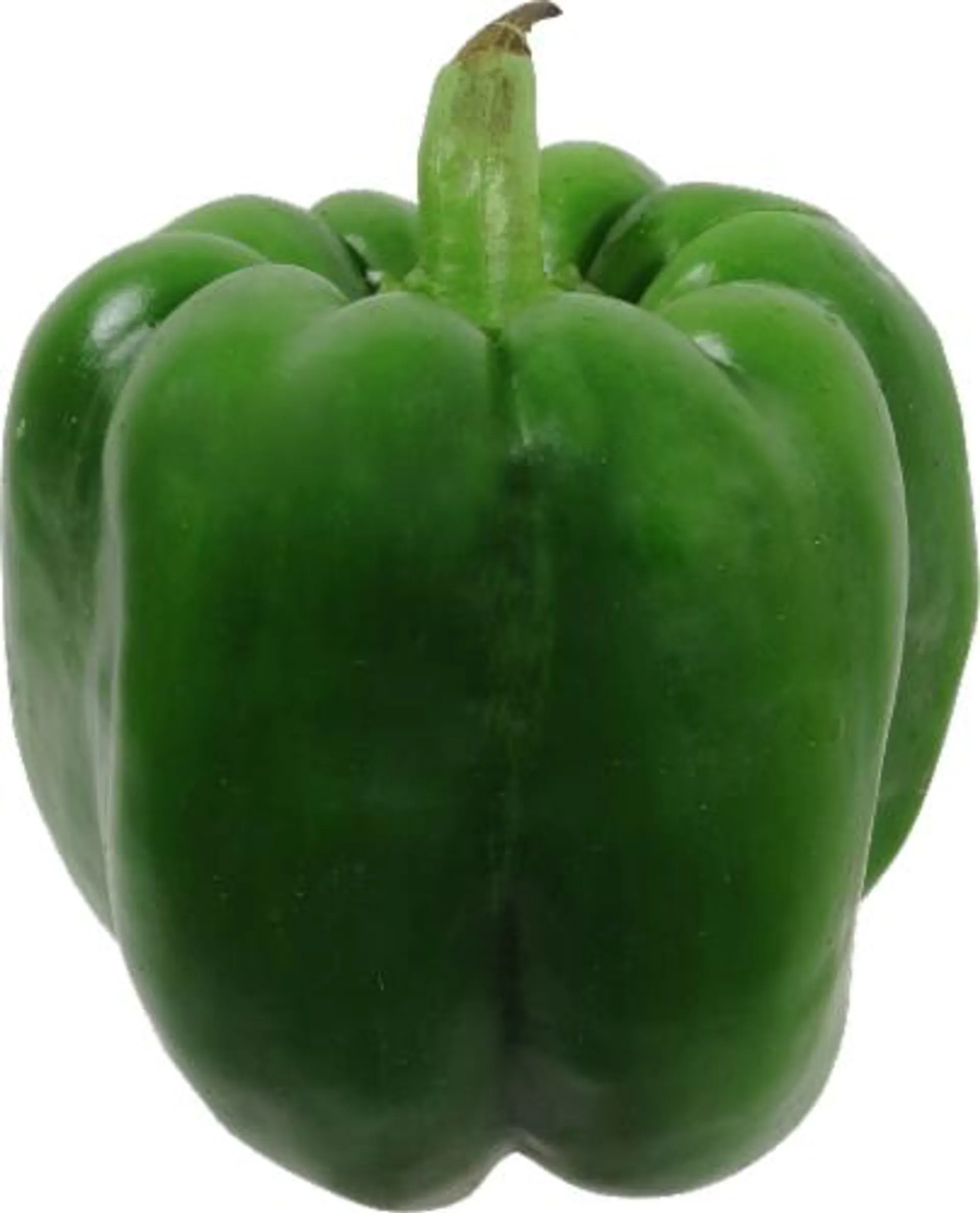 Fresh Large Green Bell Pepper