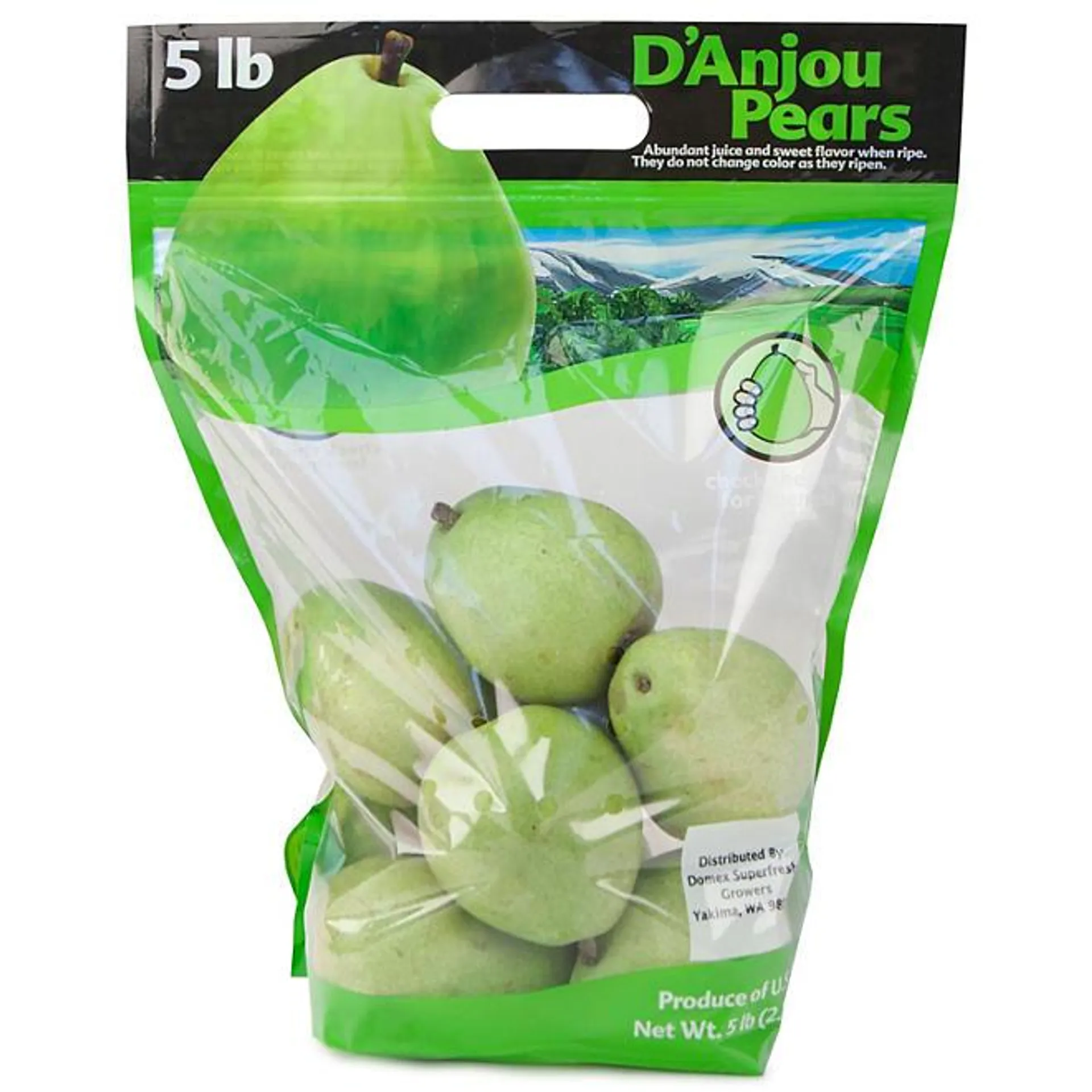 Anjou Pear, 5 lbs.