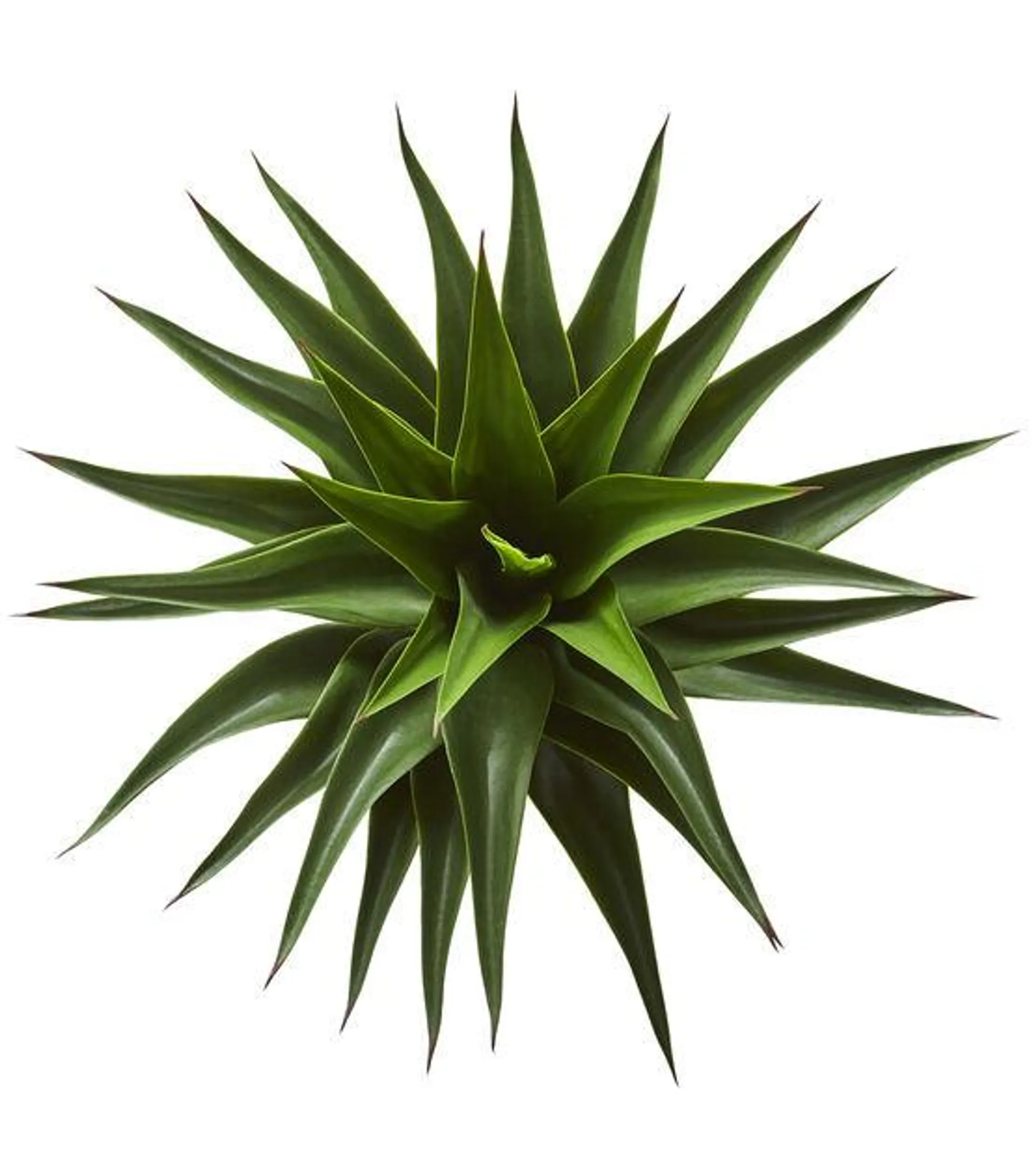 Nearly Natural 28" Artificial Agave