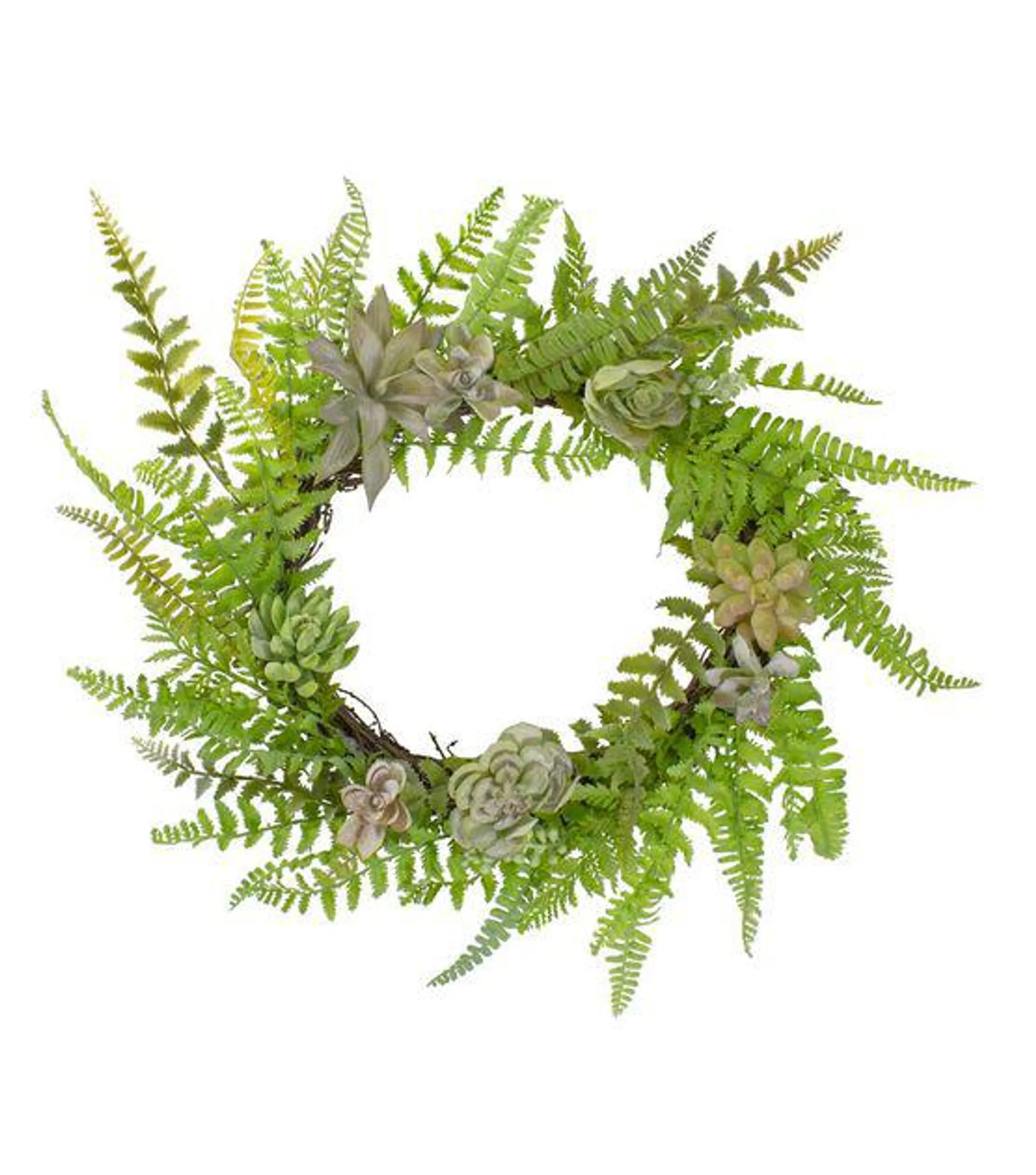 Northlight 22" Spring Green Succulents & Foliage Wreath