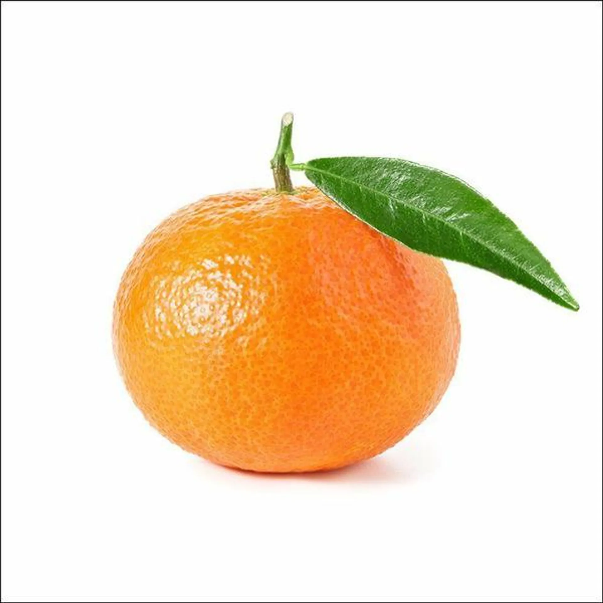 Jaffa Clementine Oranges