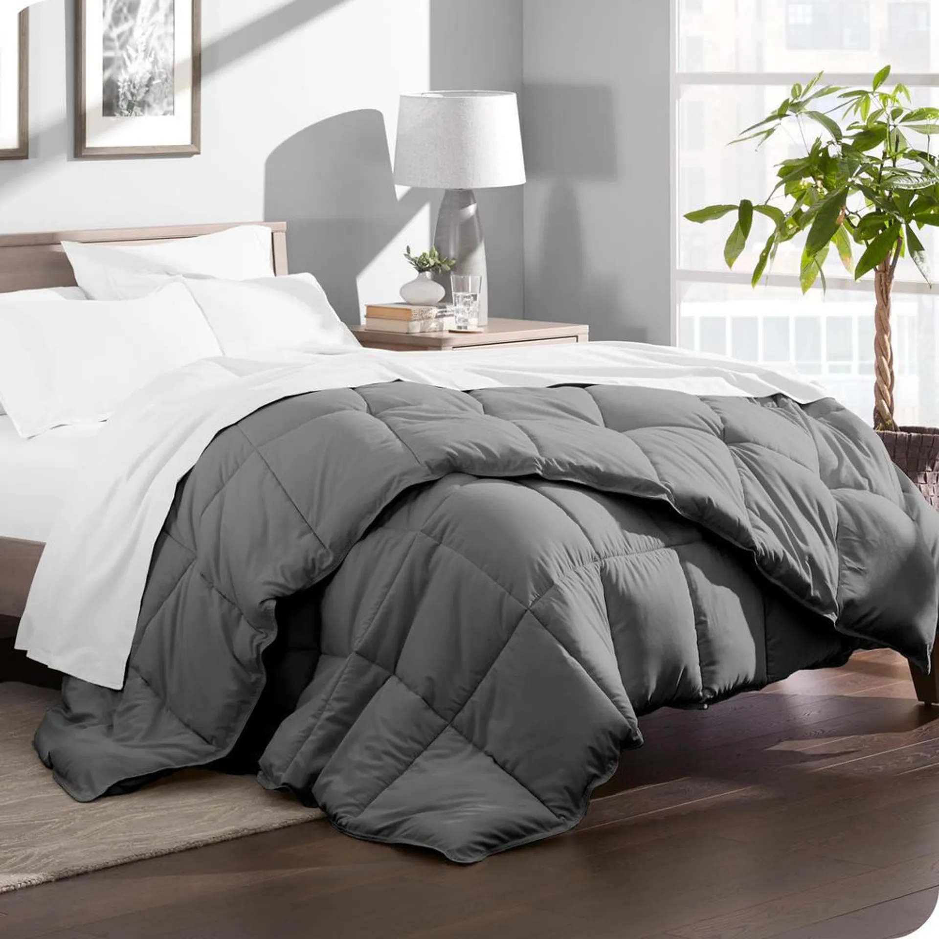 Ivy Union Comforter - Easy Care Ultra-Soft Microfiber - All Season Warmth - Bedding Comforter