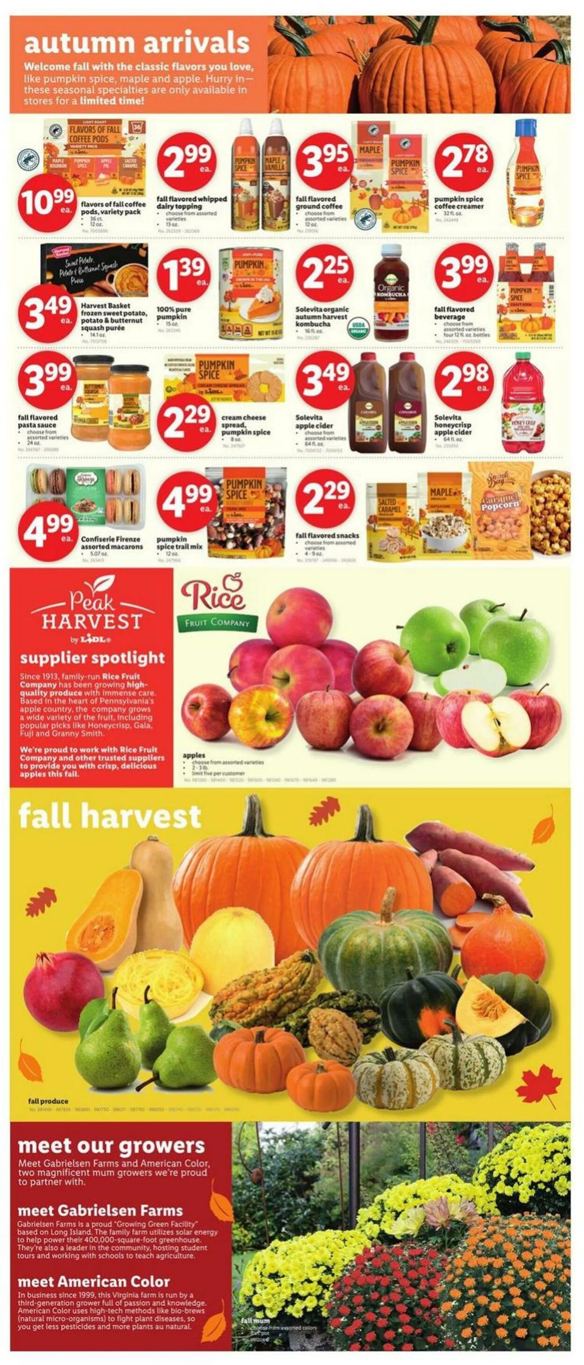 Lidl Current weekly ad - 3