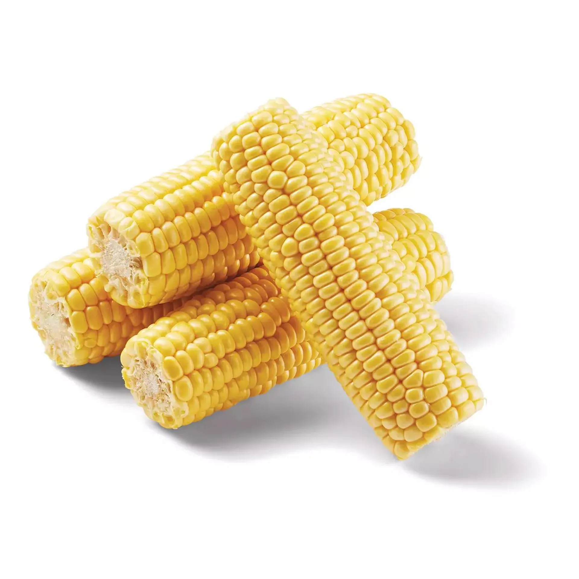 Fresh Intensely Sweet Cob Corn