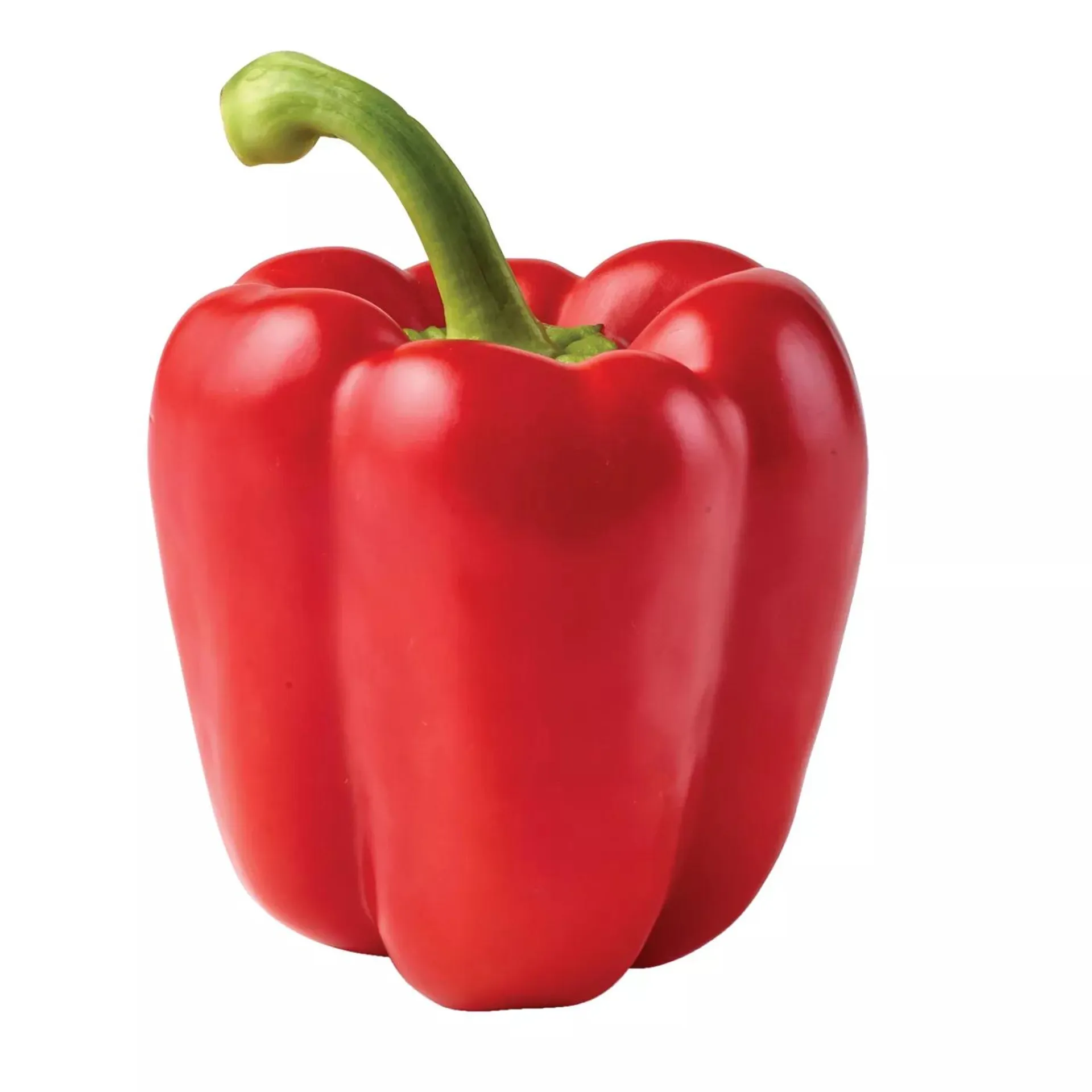 Fresh Red Bell Pepper