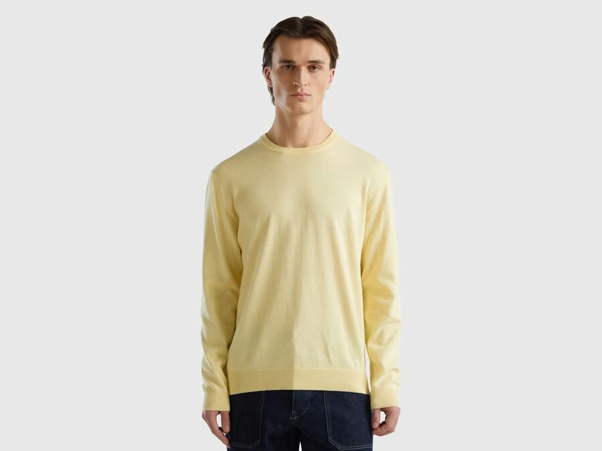 Crew neck sweater in 100% cotton