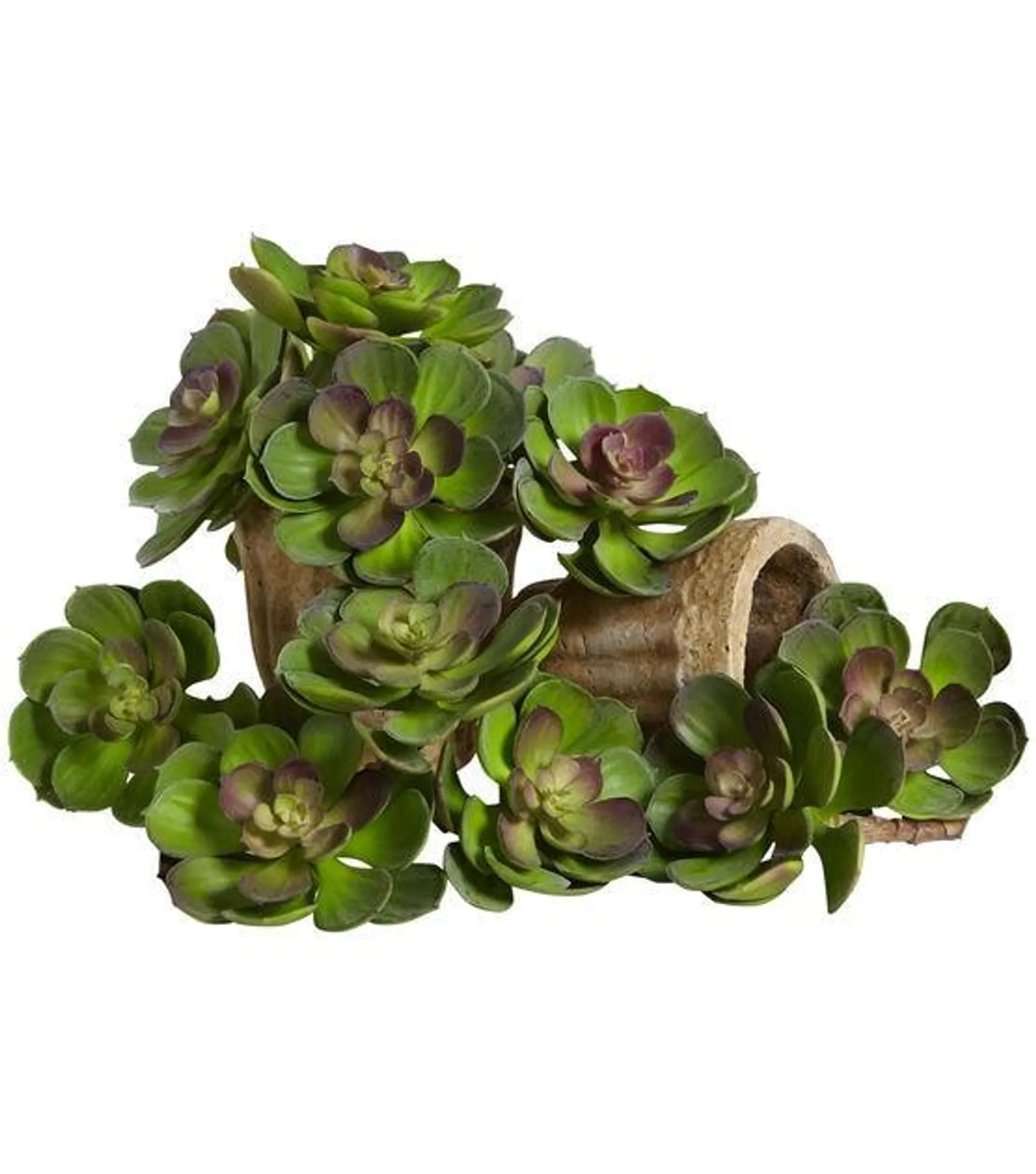 Nearly Natural 5" Echeveria Succulent Plant 12ct