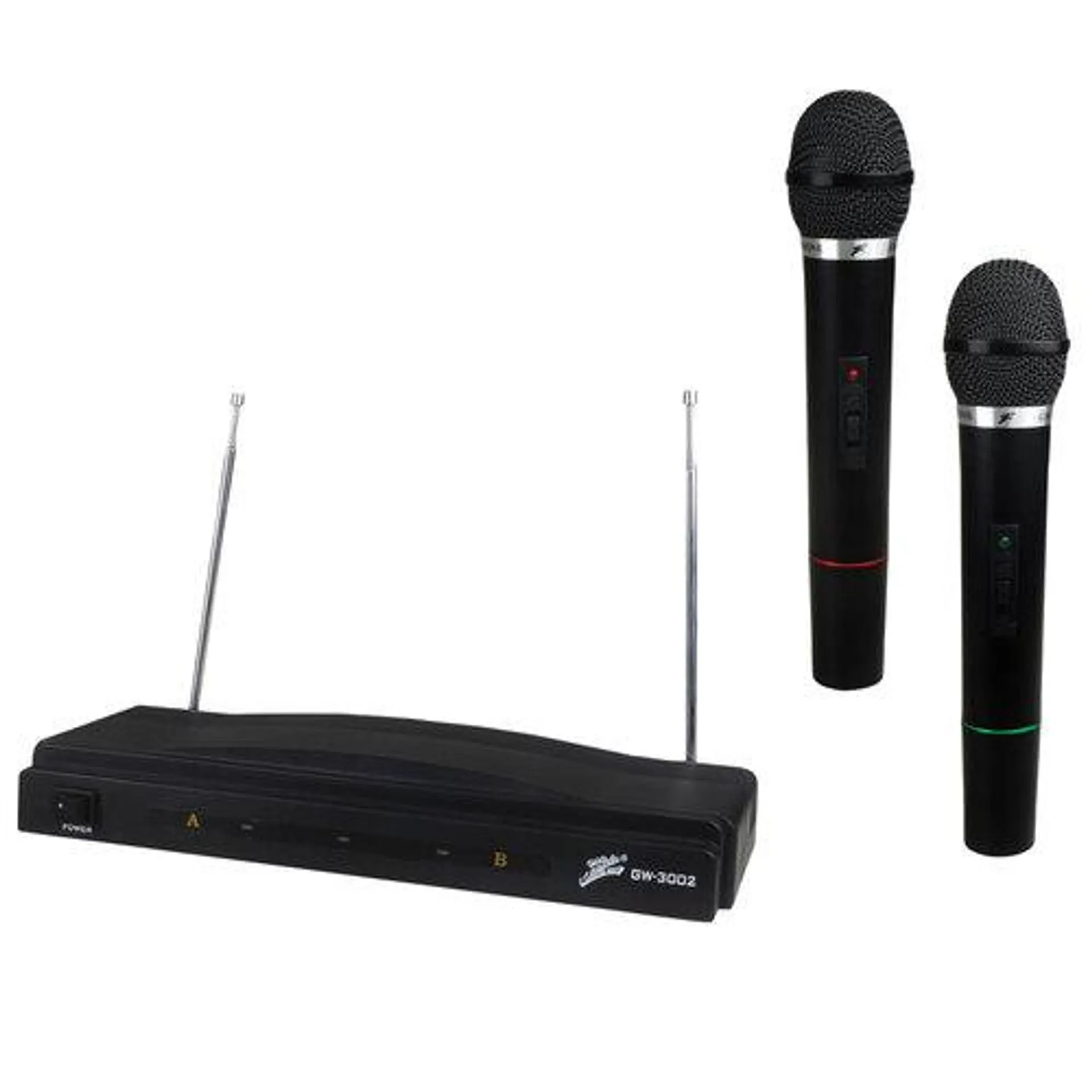 - Professional Wireless Dual Microphone System