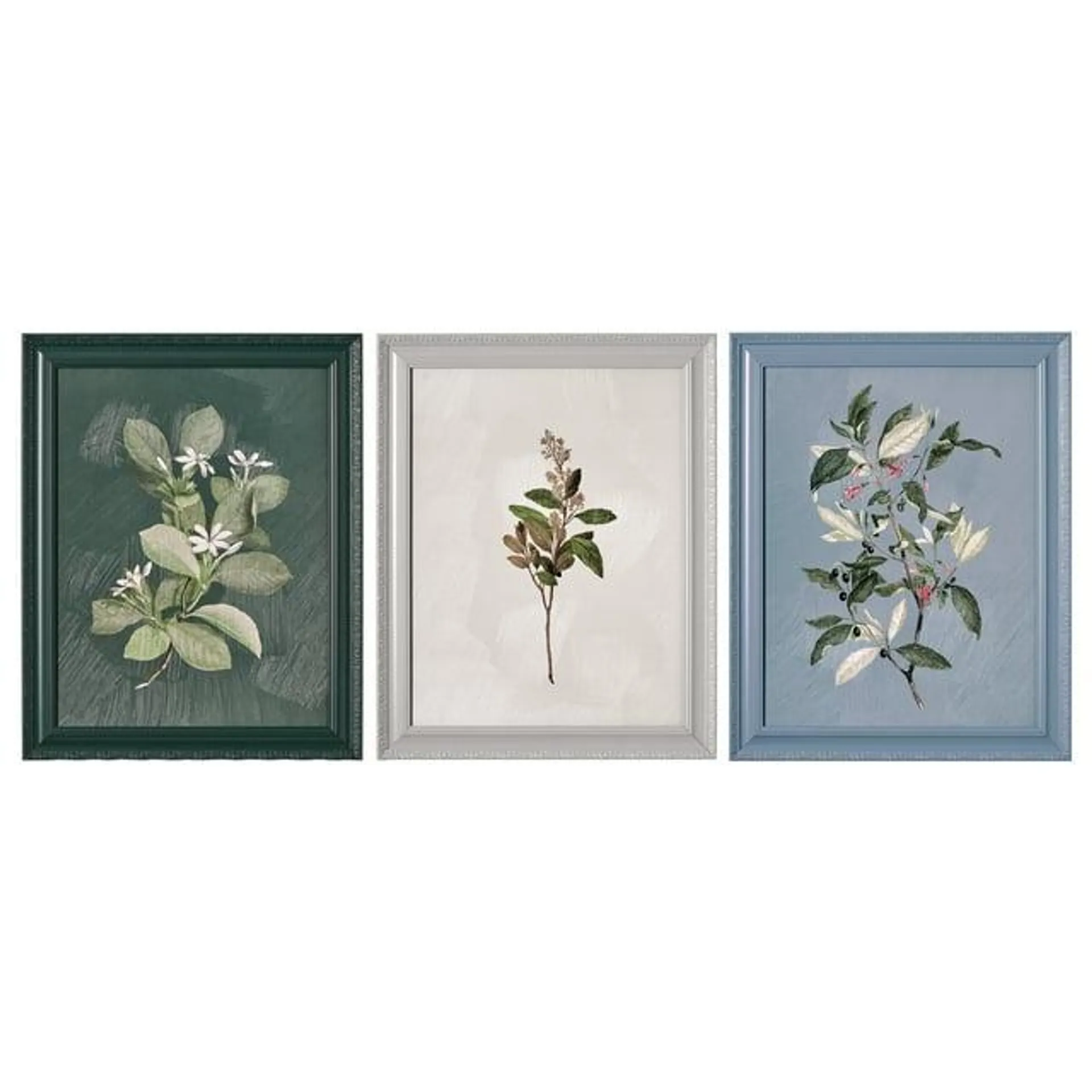 Beautiful by Drew Framed Vintage Botanical Color Block set of 3