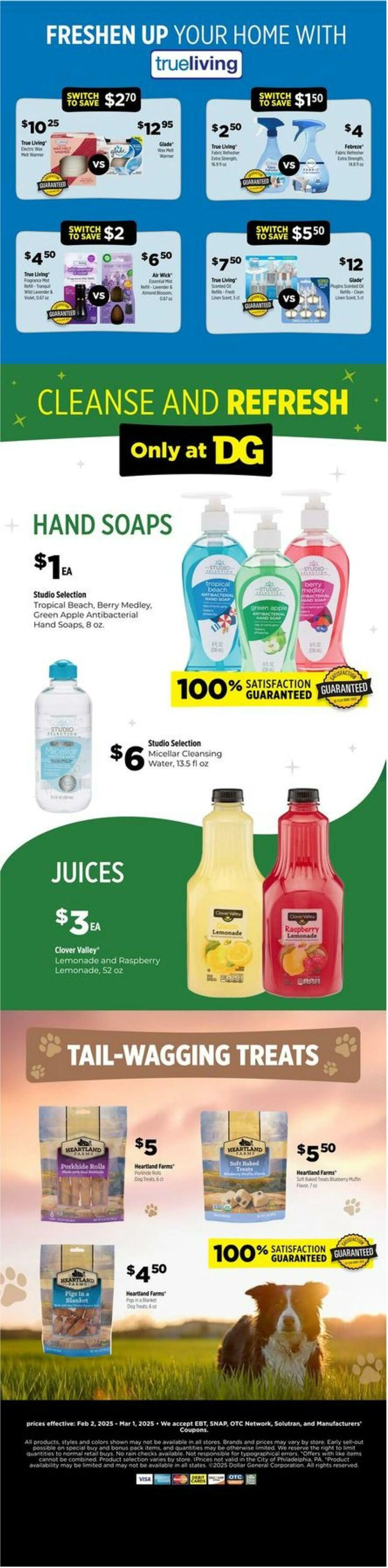 Catálogo de Dollar General Current weekly ad 1 de febrero al 1 de marzo 2025 - Página 3