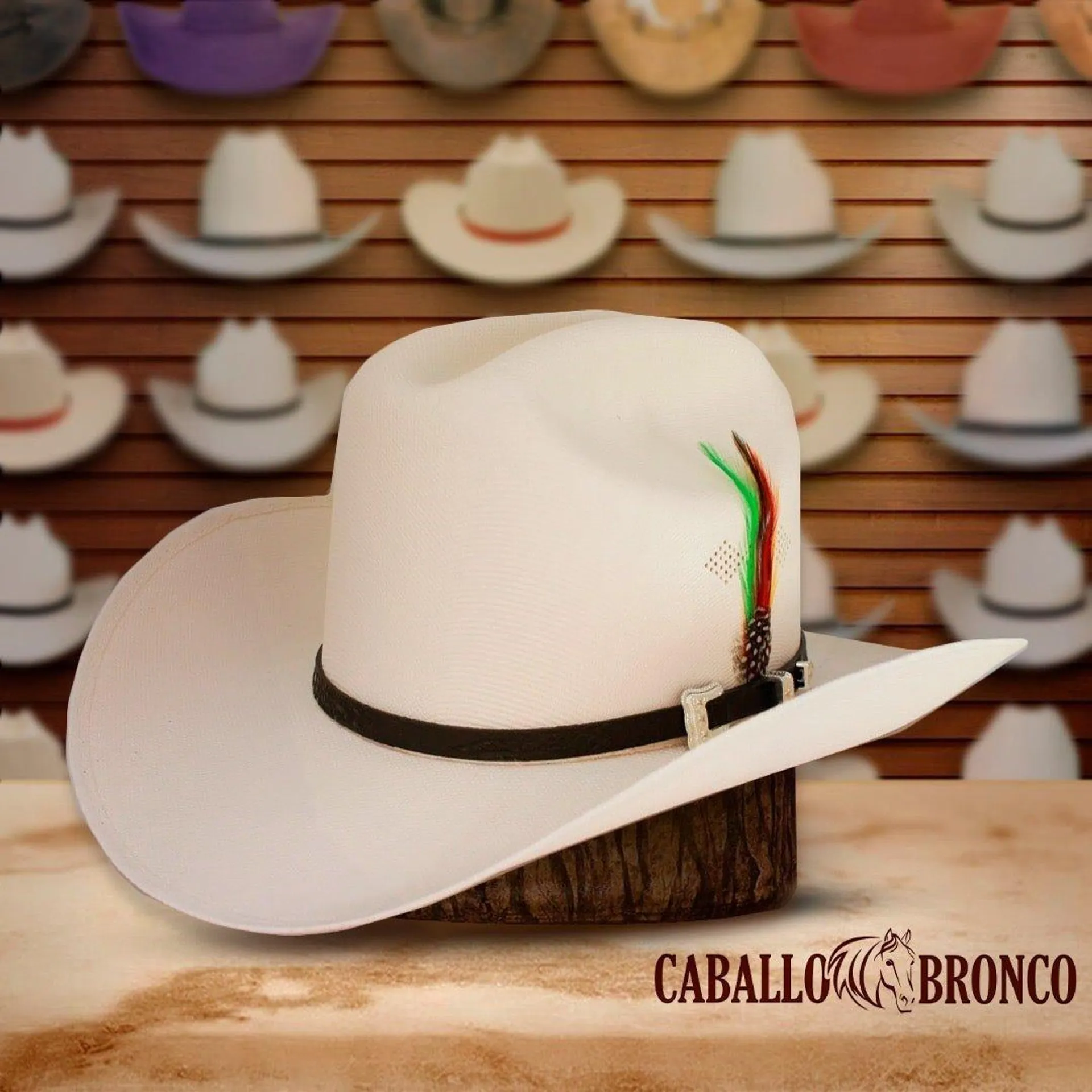 Sombrero Tombstone 1,000X Estilo El Inombrable con Plumas