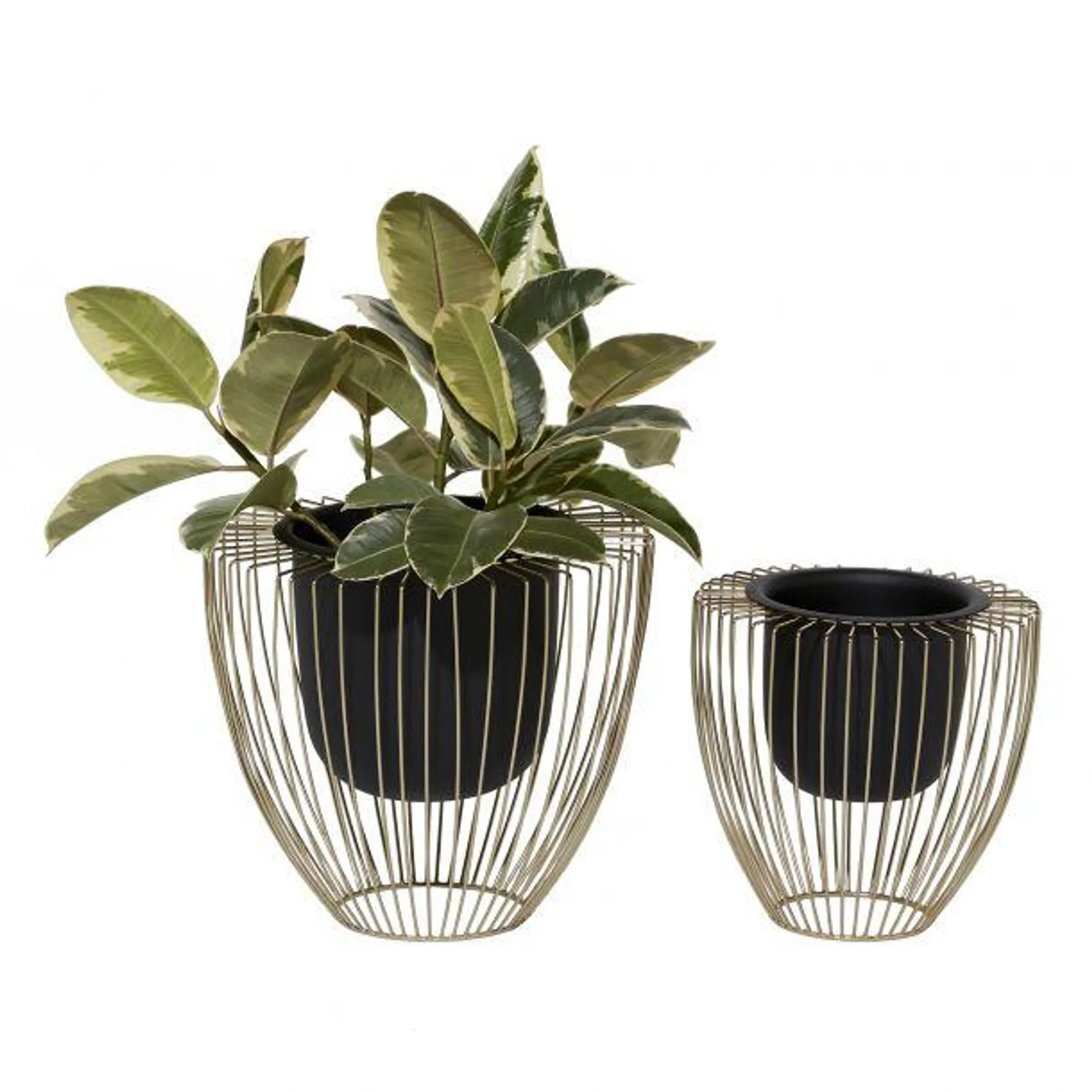 Set of 2 Black Metal Contemporary Planter, 10", 12"