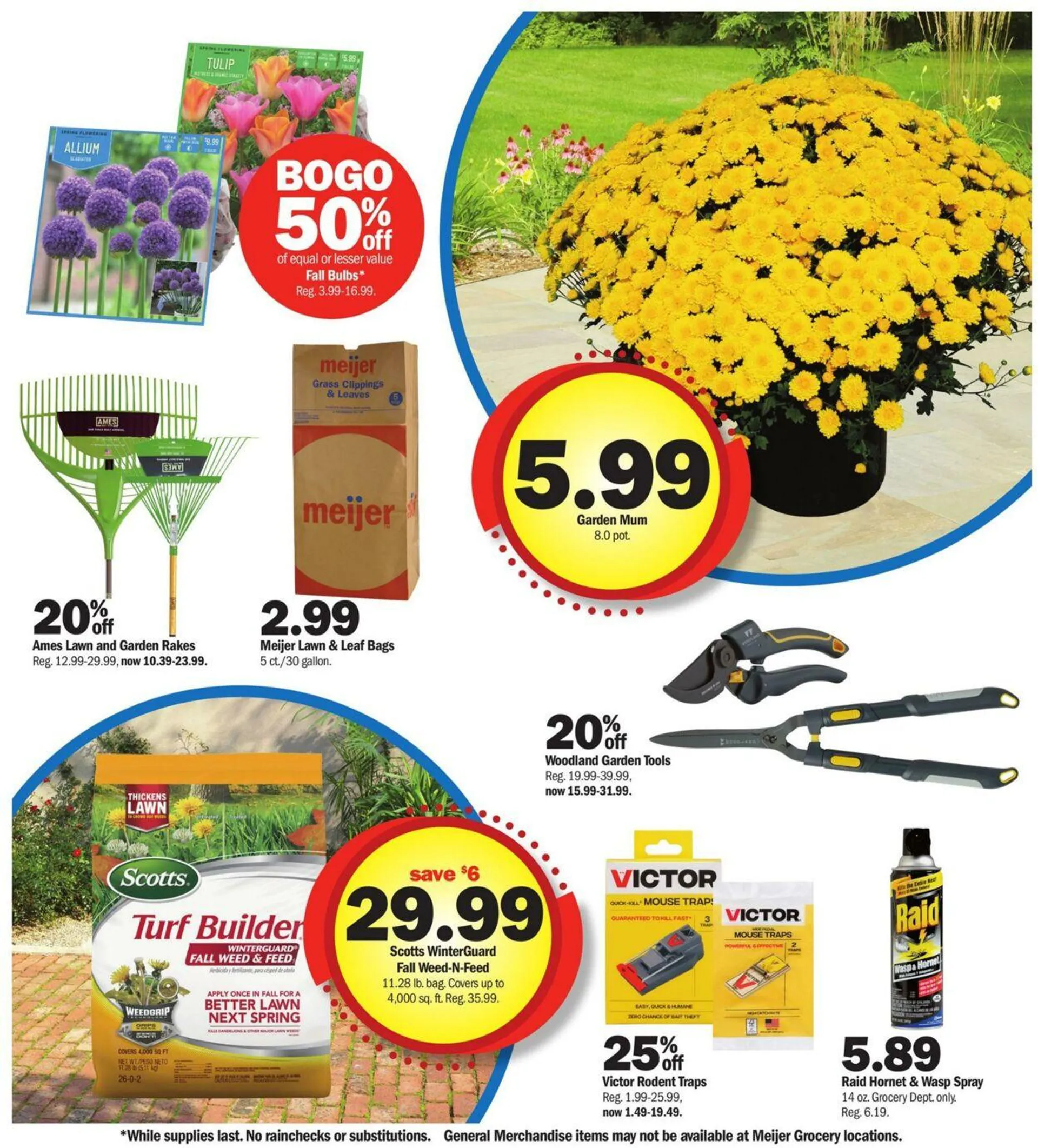 Meijer Current weekly ad - 9