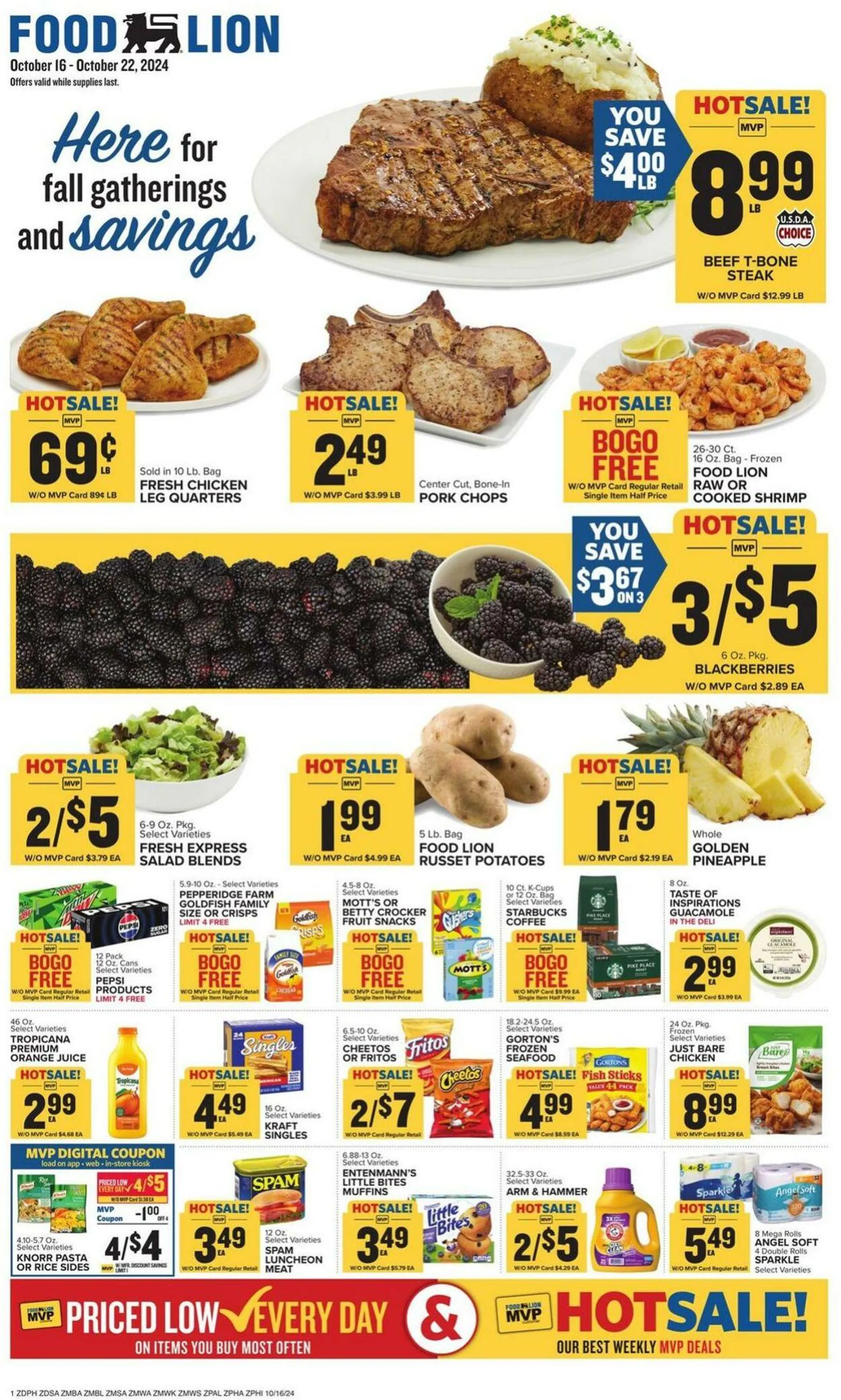 Food Lion Current weekly ad - 1