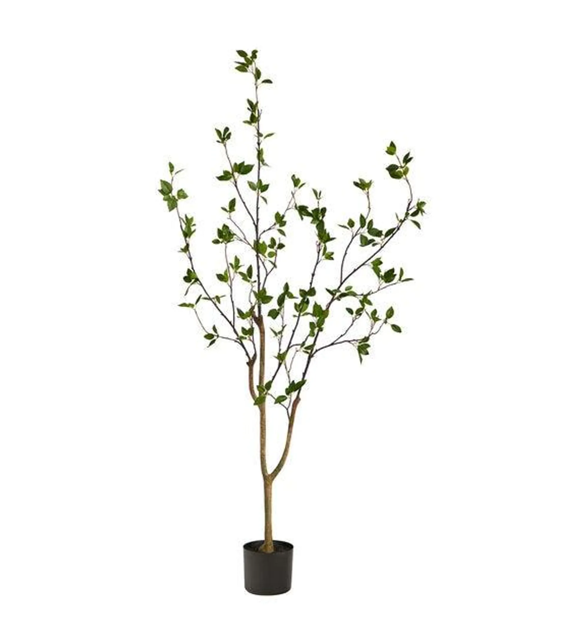 Nearly Natural 5' Minimalist Citrus Artificial Tree