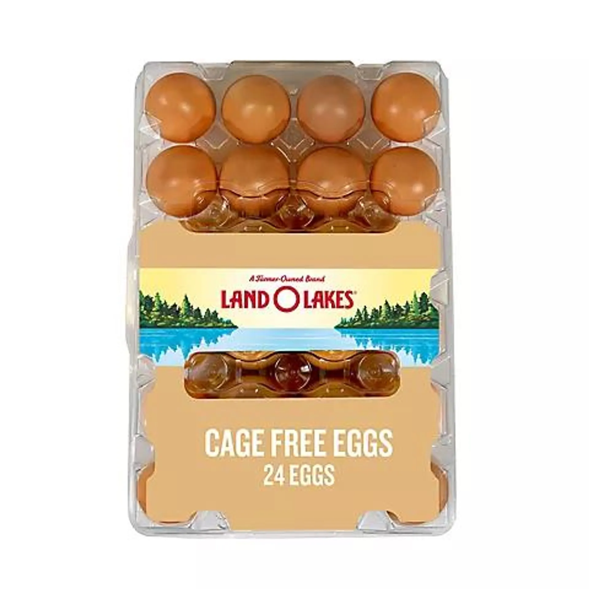 Land O Lakes Large Brown Cage Free Grade A Eggs, 24 ct.