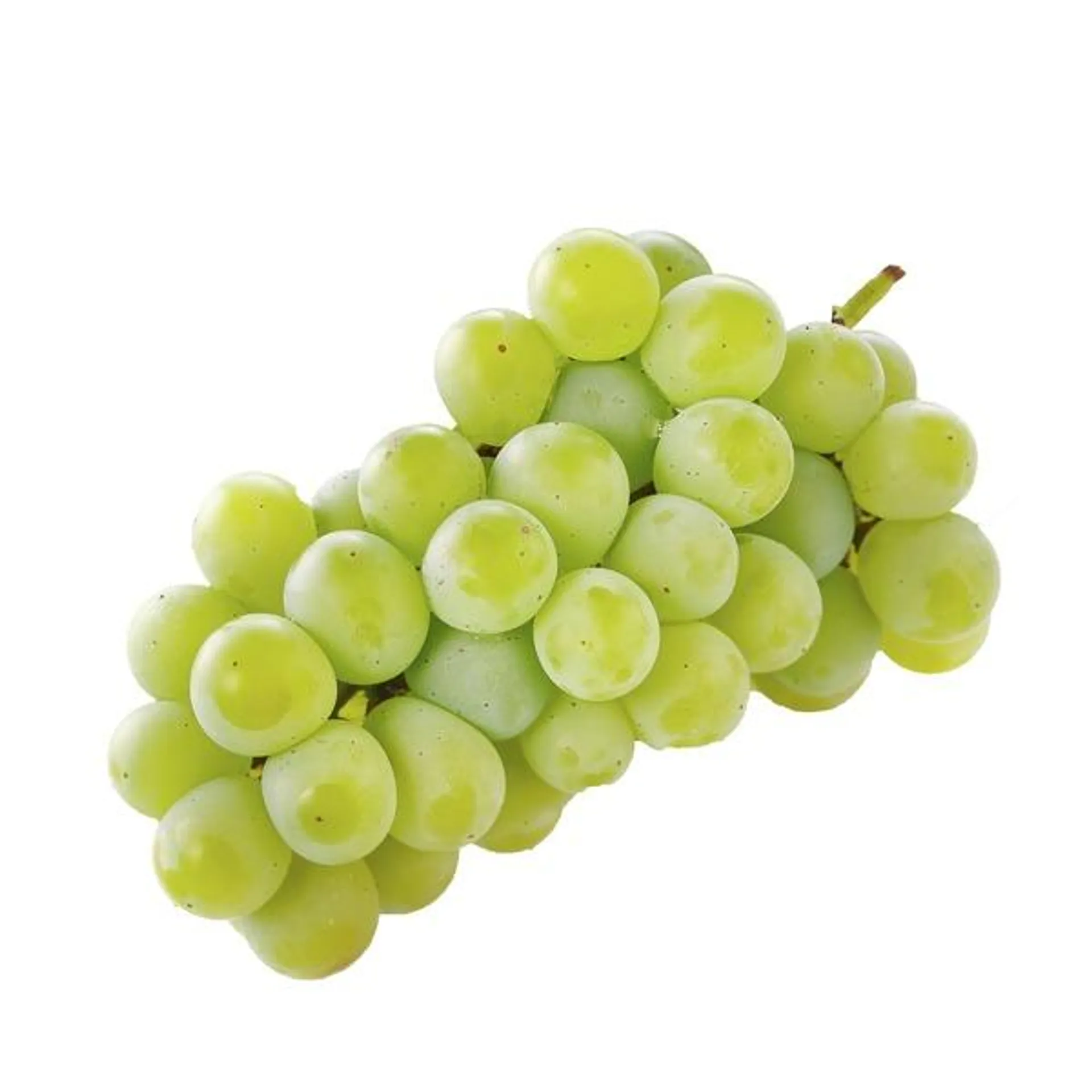 White Muscat Grapes