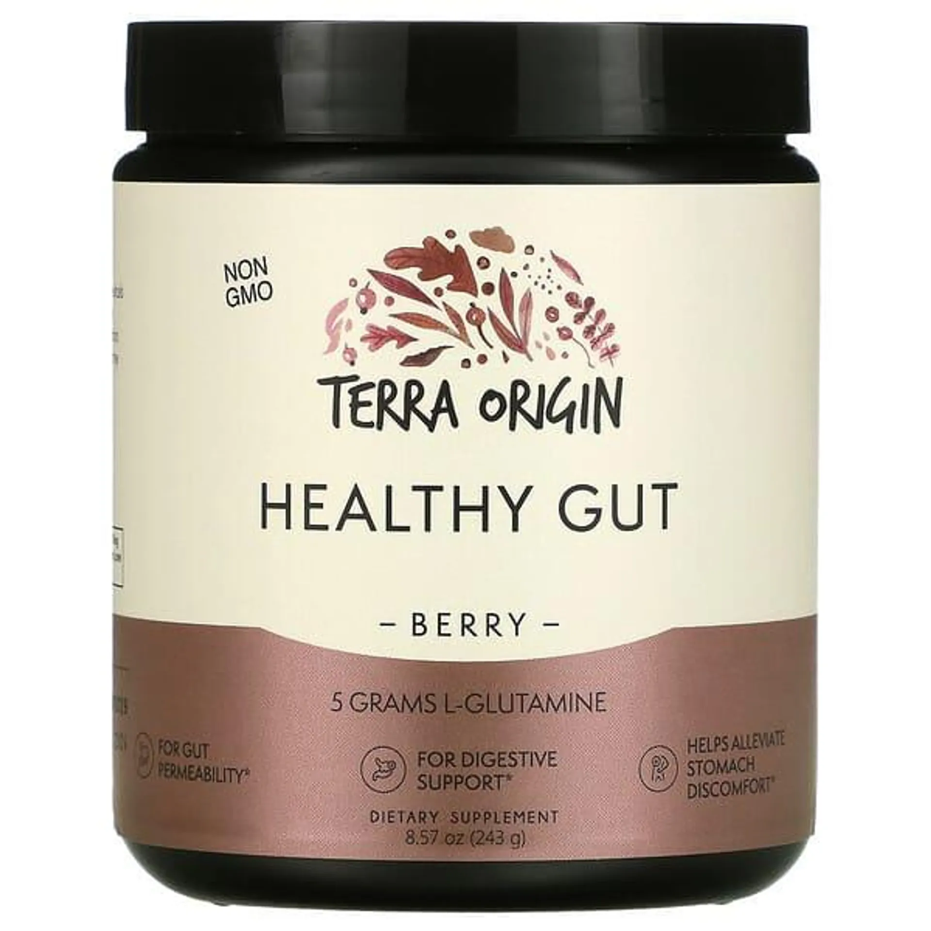 Terra Origin, Healthy Gut, Berry, 8.57 oz (243 g)