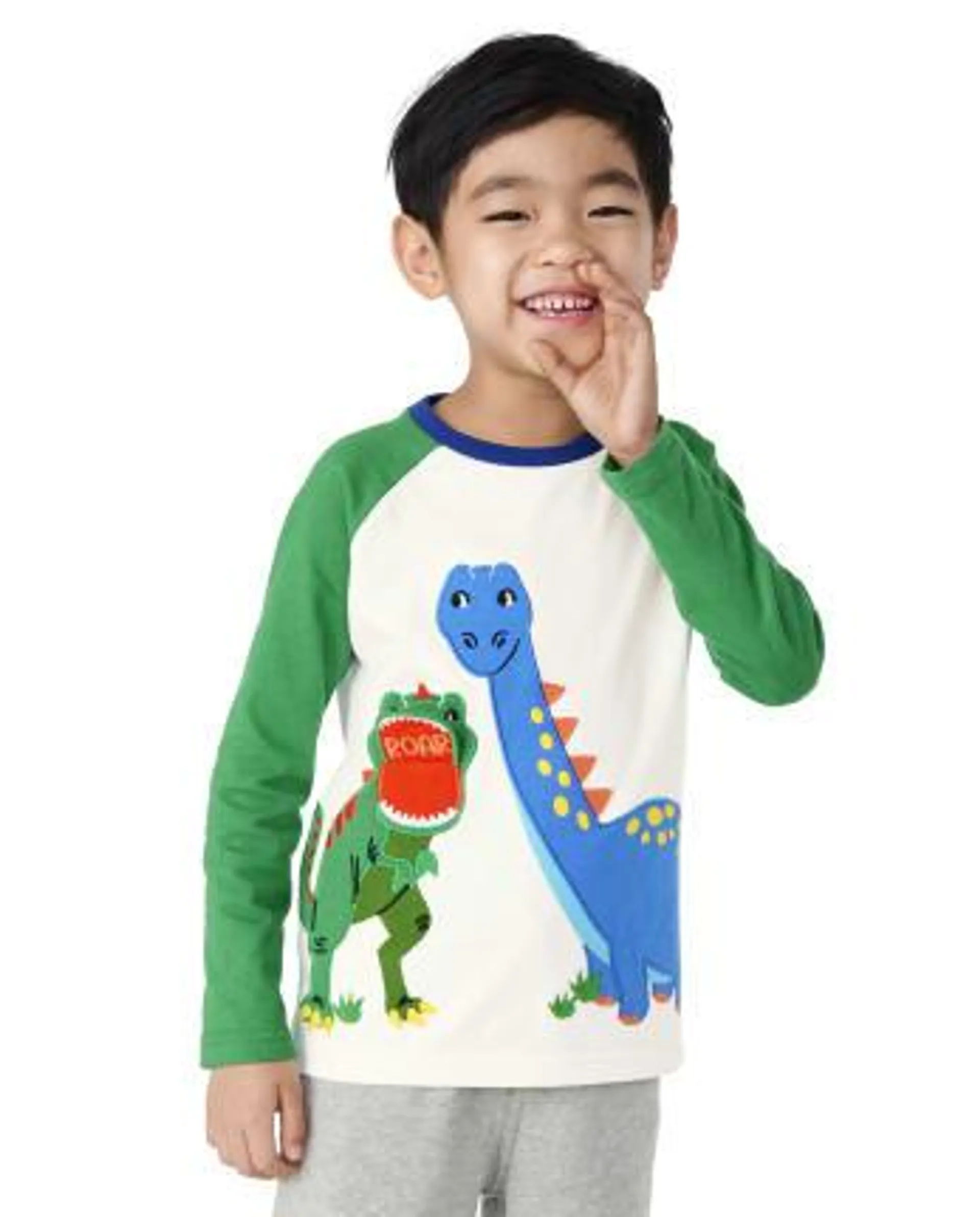 Boys Embroidered Dino Raglan Top - Dino-Mite - snow