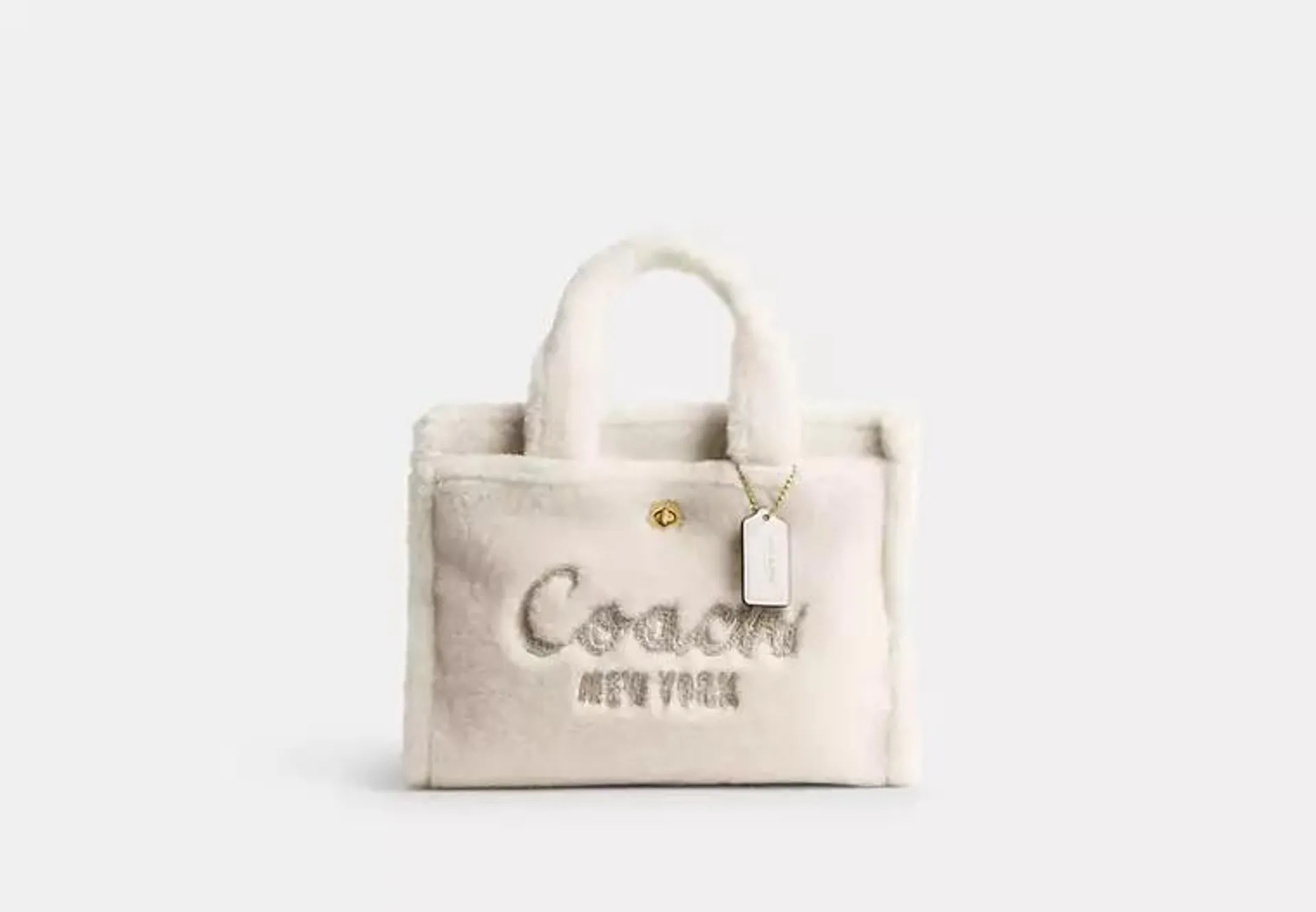 Cargo Tote Bag