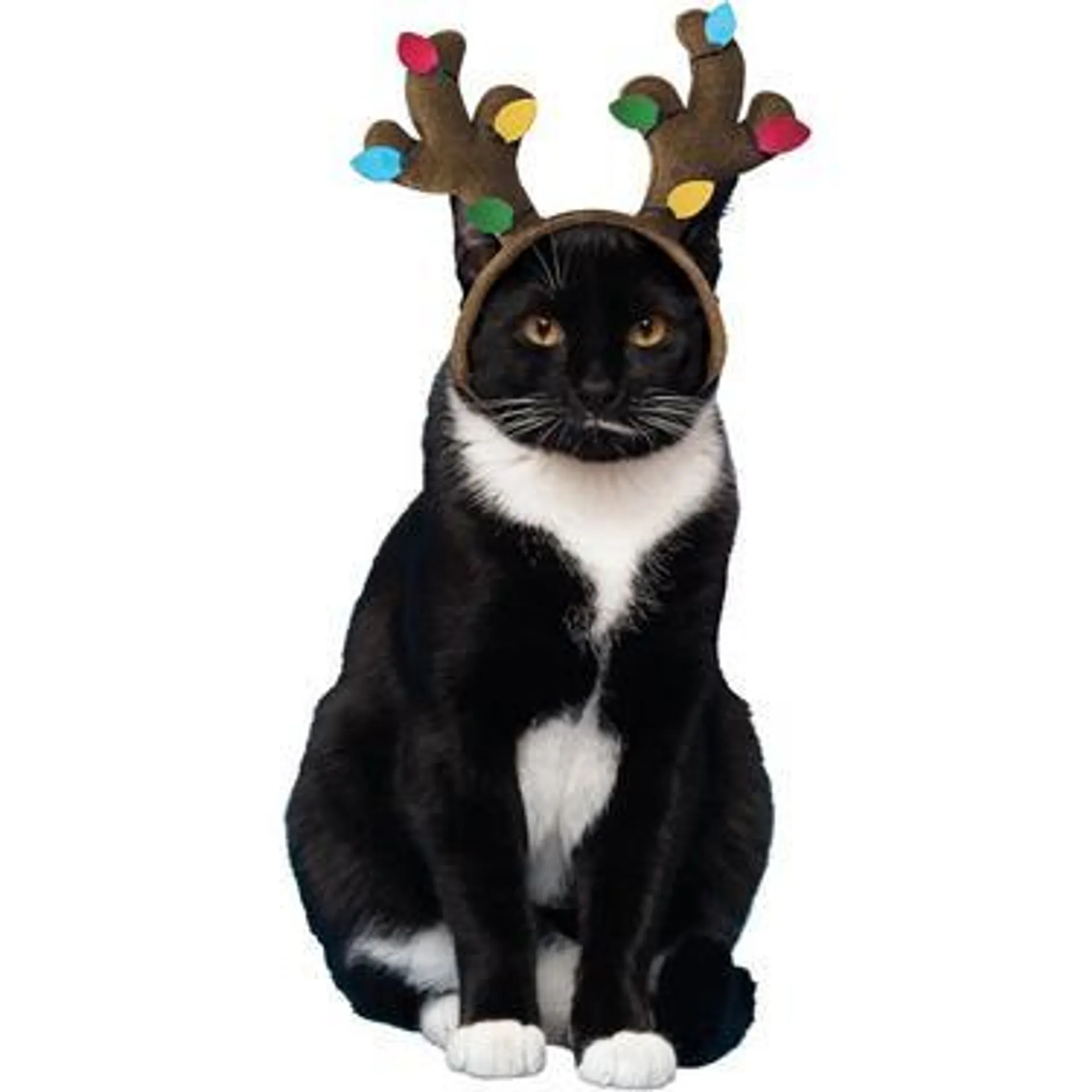 Pet Christmas Reindeer Hat