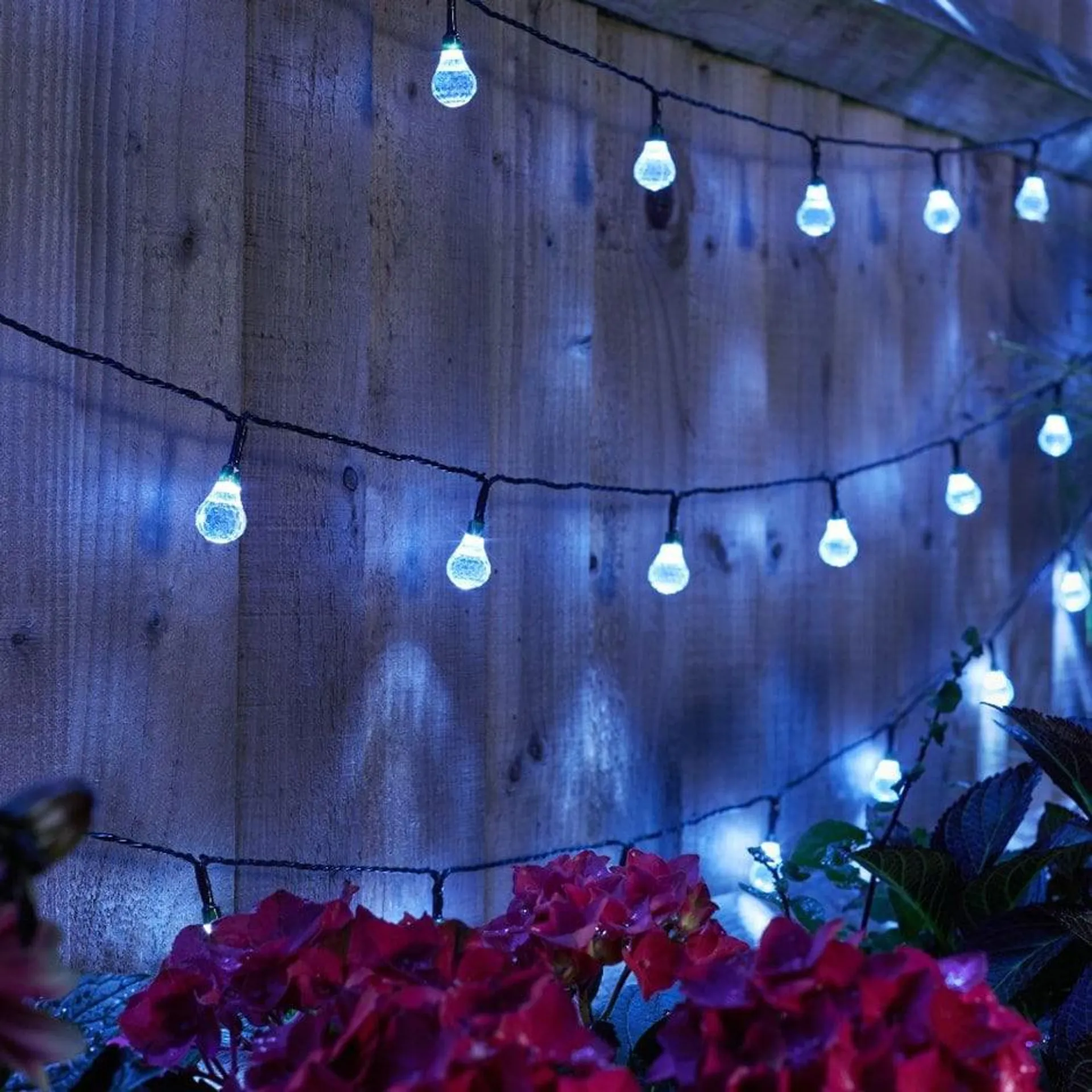Super bright white orb LED string lights