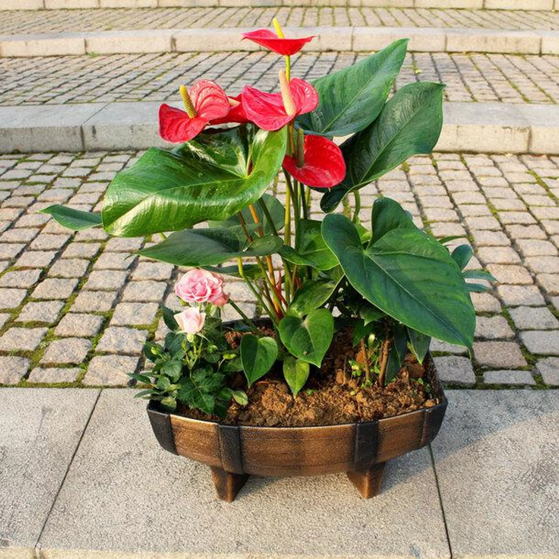 Wooden Style Half Barrel Planters (Pack of 2)