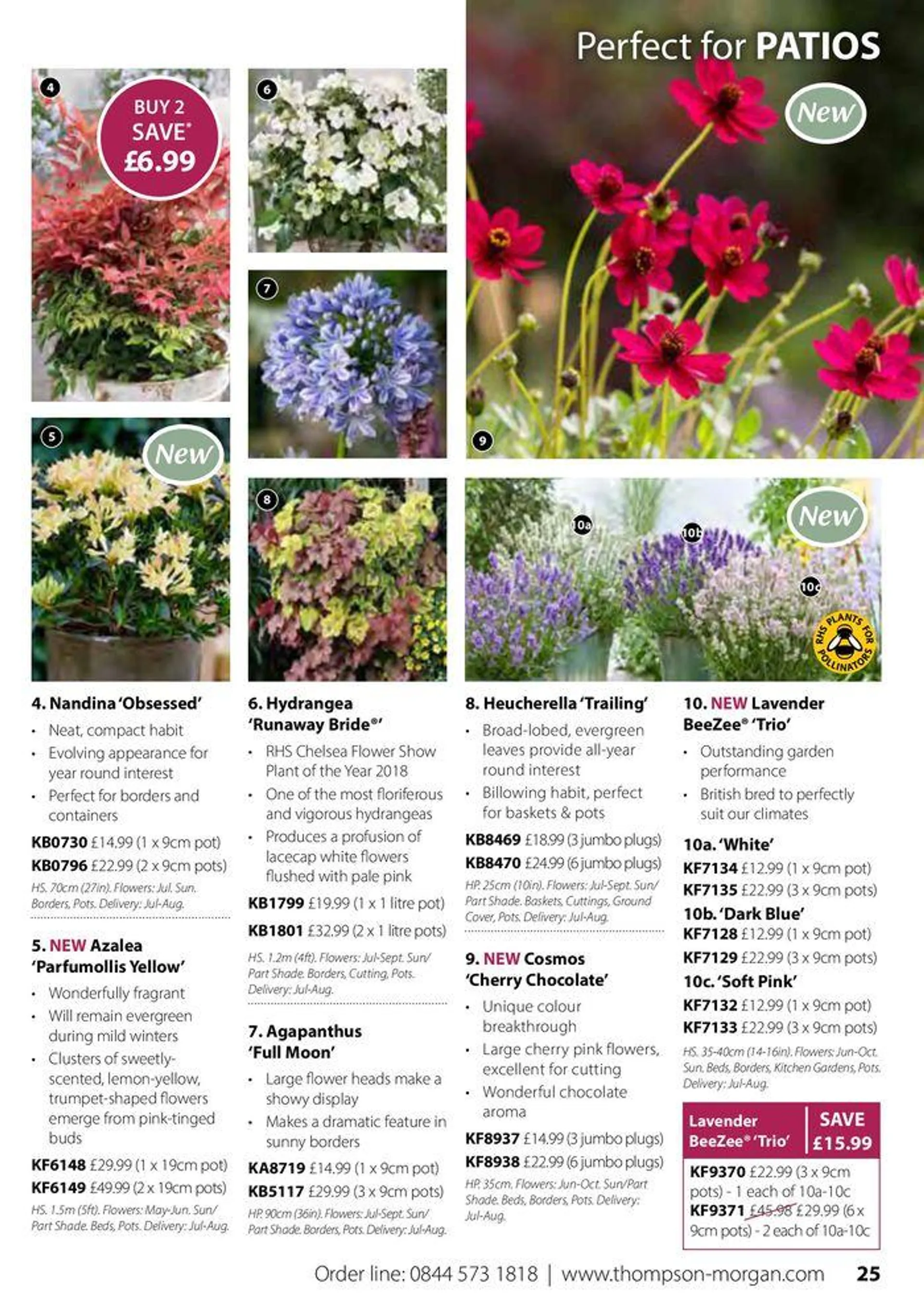 Autumn Catalogue from 1 September to 30 November 2024 - Catalogue Page 25