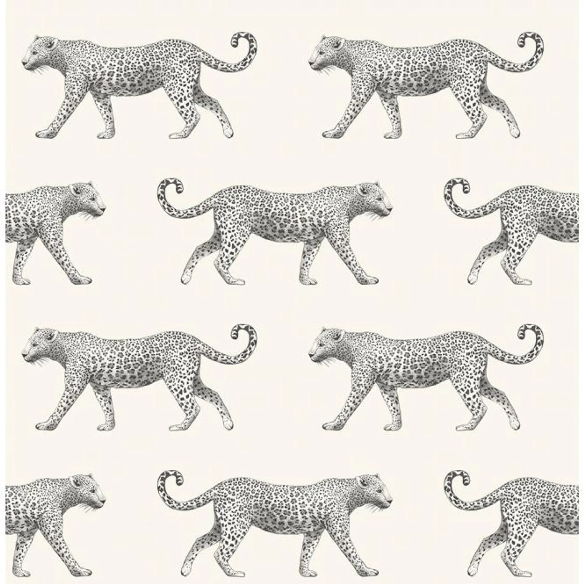 Leopard Motif Wallpaper in Black and White