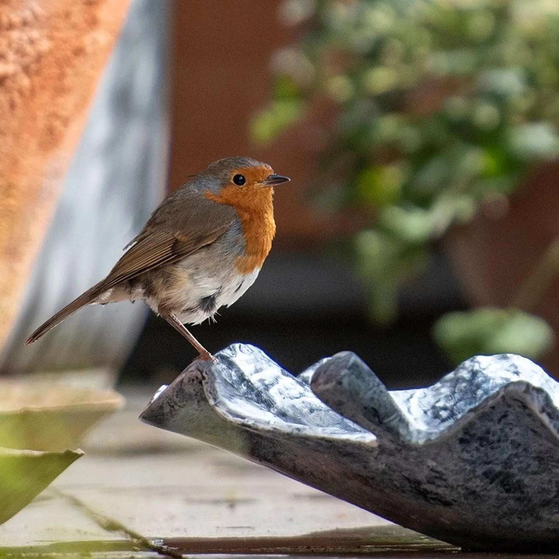 Zinc leaf bird bath