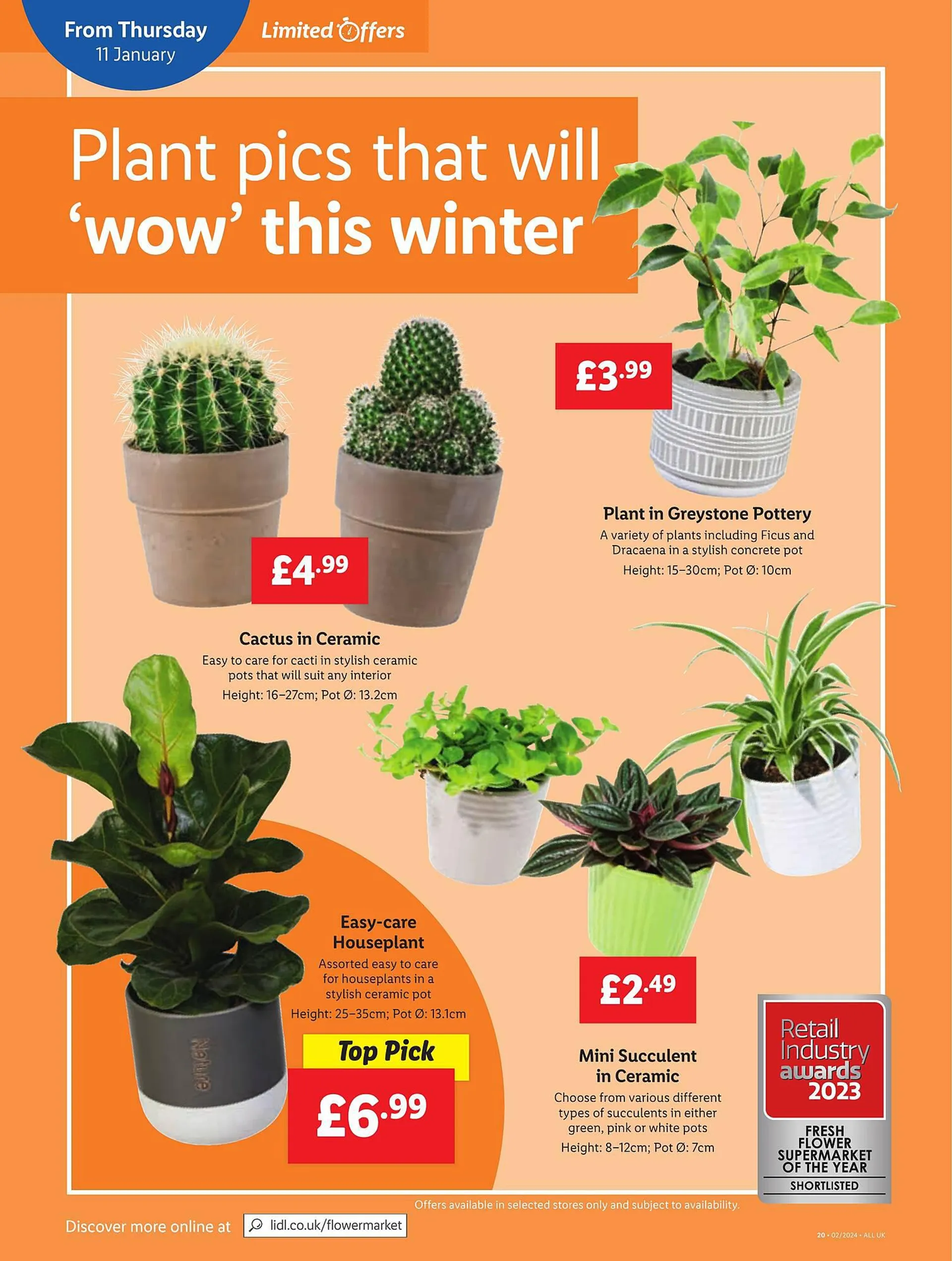 Lidl Weekly Offers from 11 January to 17 January 2024 - Catalogue Page 19