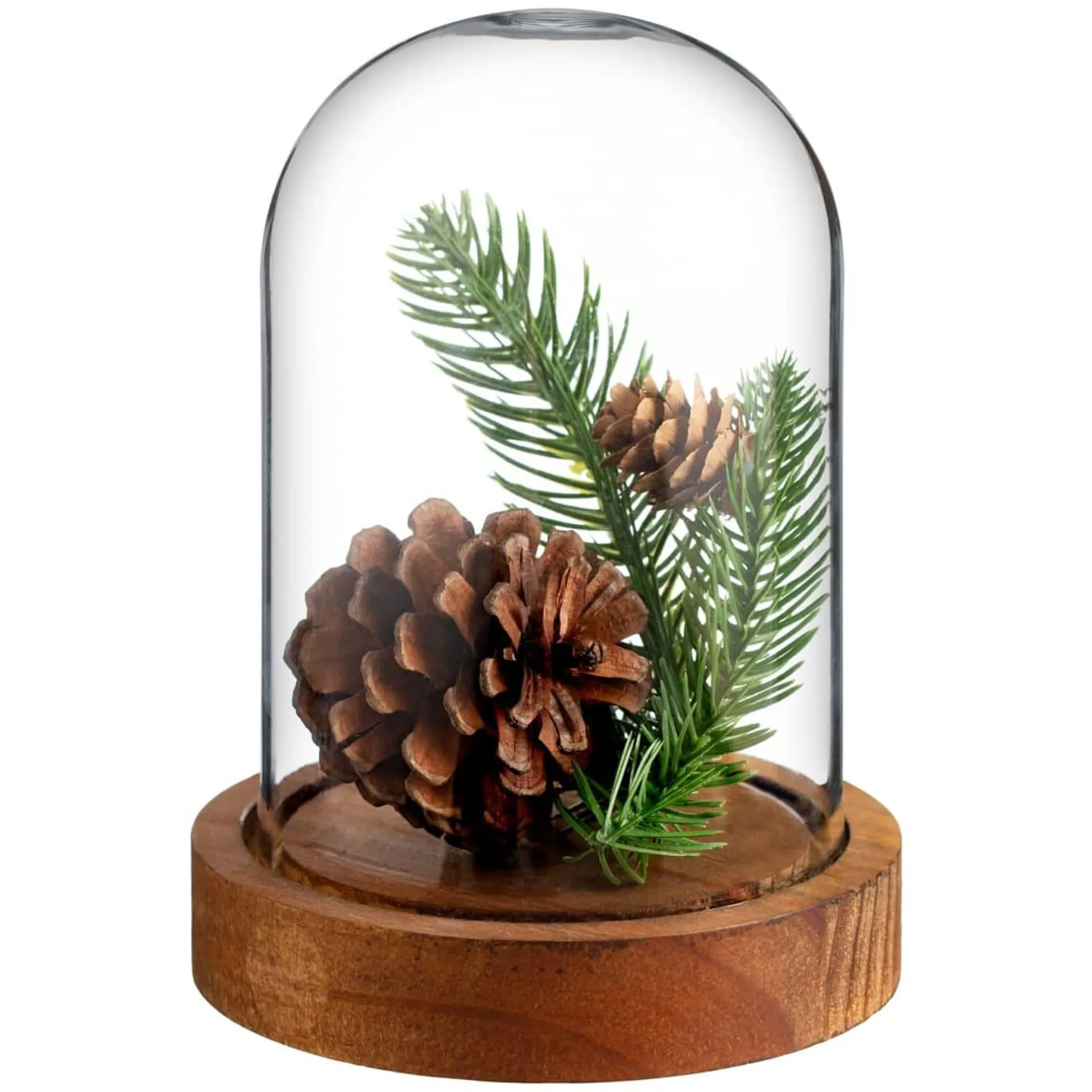 Pine Cone Arrangement in Cloche