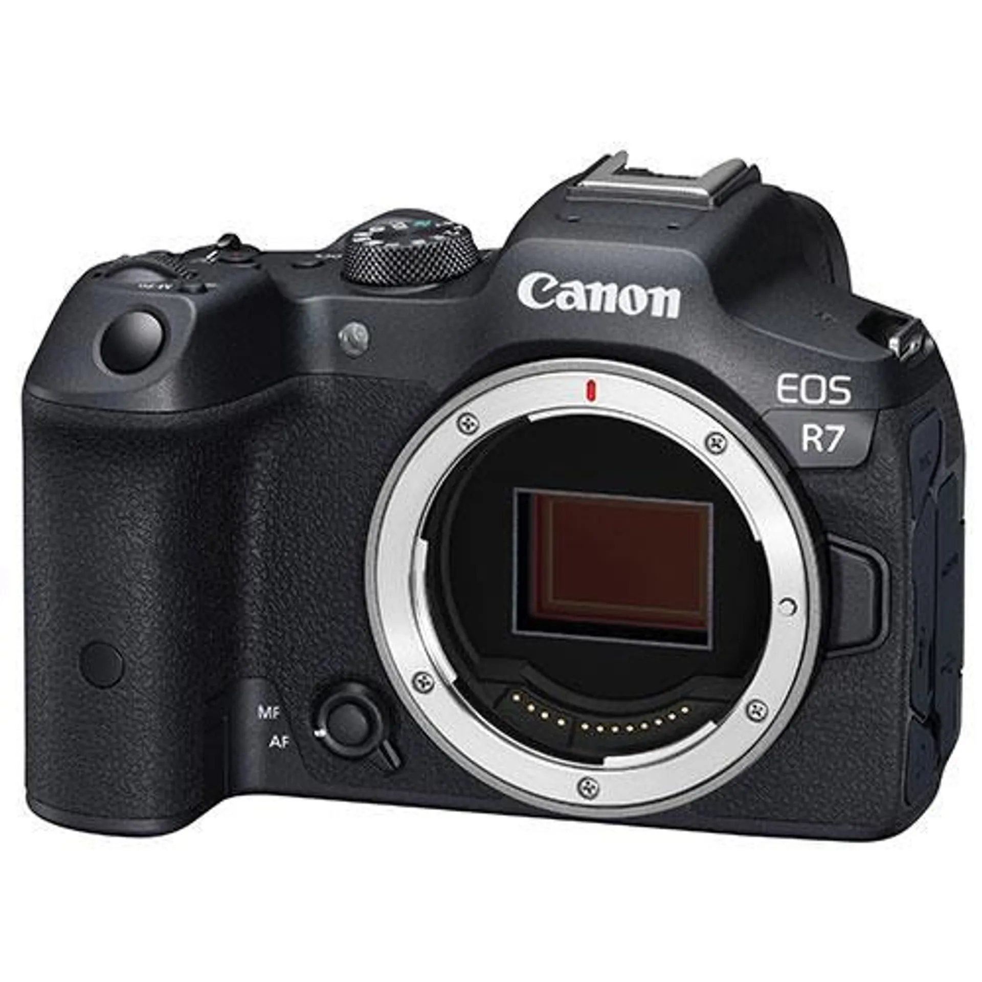 Canon EOS R7 Mirrorless Camera Body