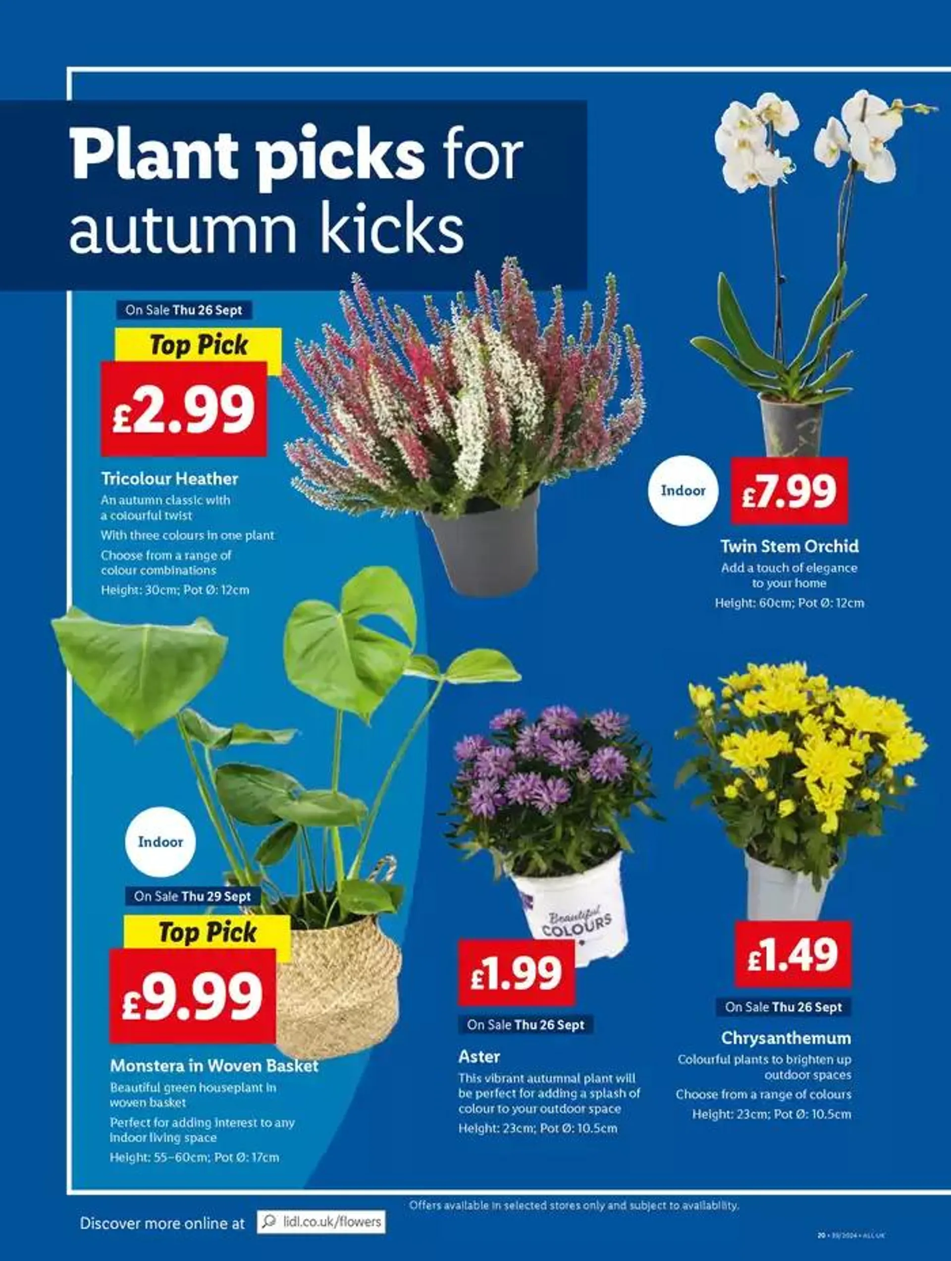 Exclusive deals and bargains from 26 September to 2 October 2024 - Catalogue Page 18