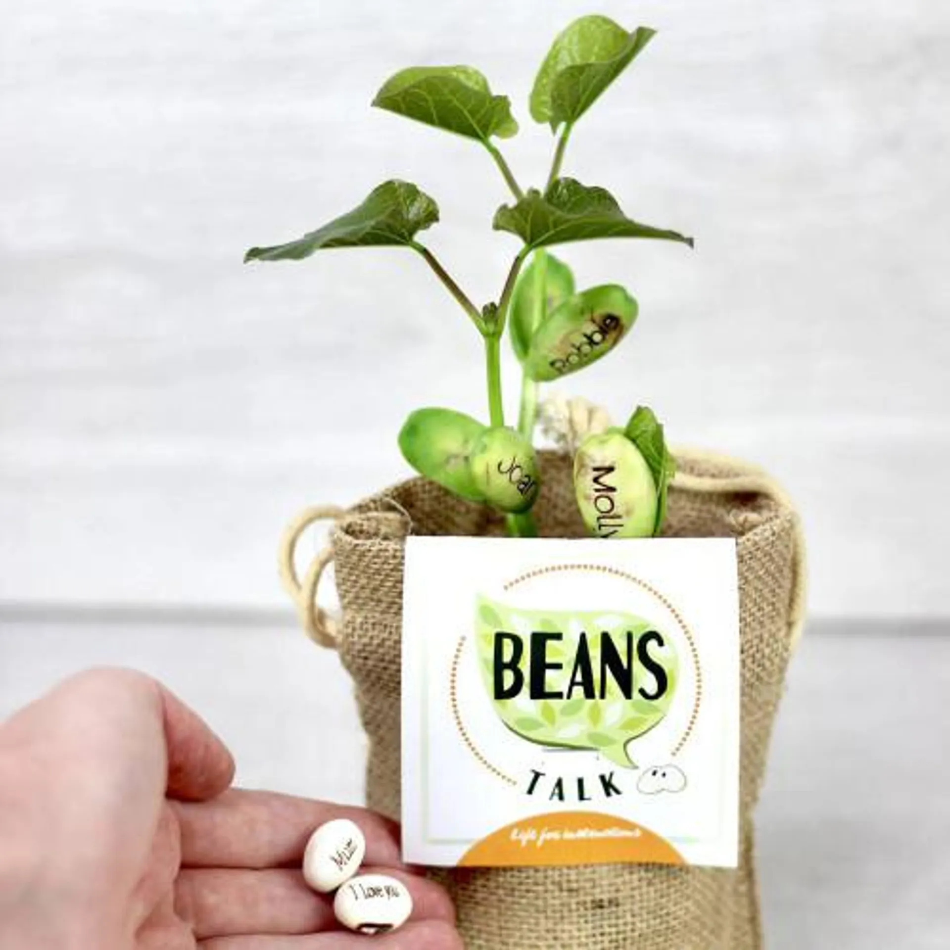 Personalised Message Beans Seeds