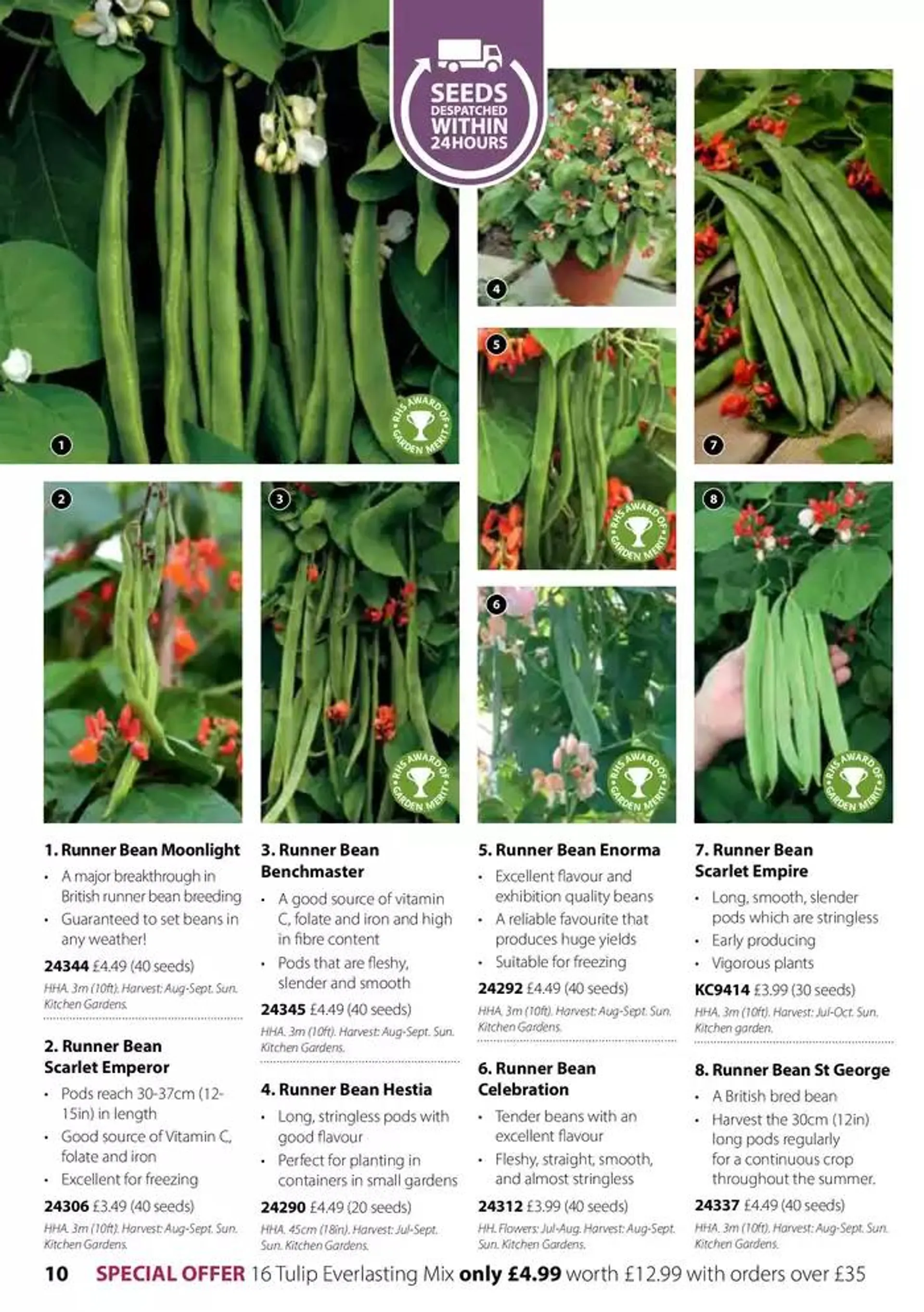 Seed Catalogue from 5 November to 31 December 2024 - Catalogue Page 10