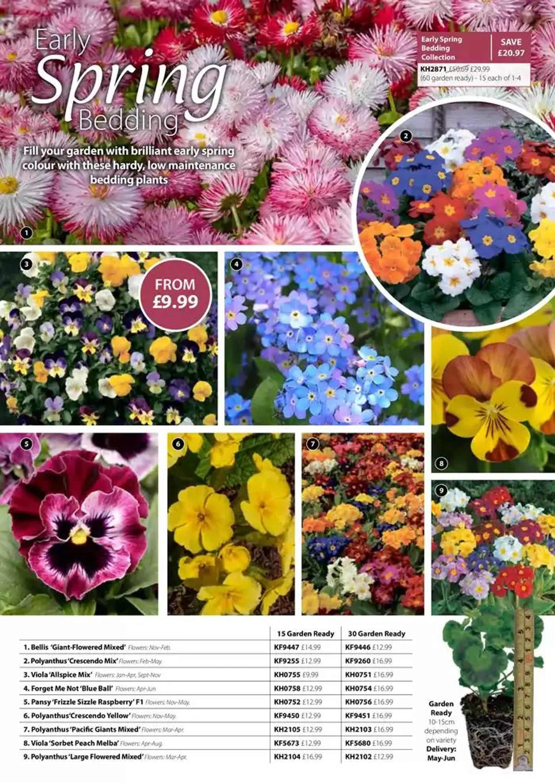 The Spring Catalogue from 20 March to 31 May 2025 - Catalogue Page 137