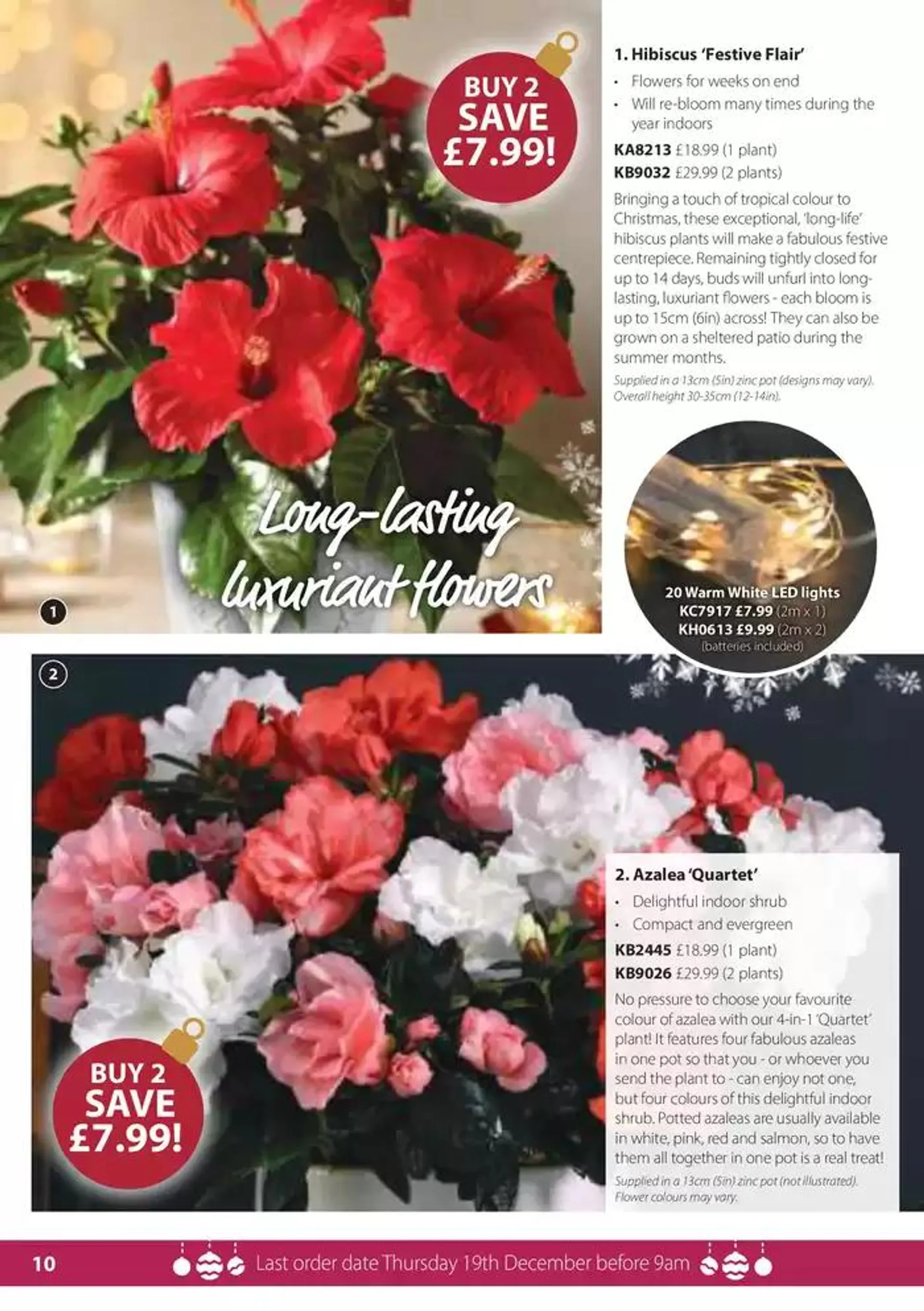 The Christmas Catalogue  from 5 November to 25 December 2024 - Catalogue Page 10