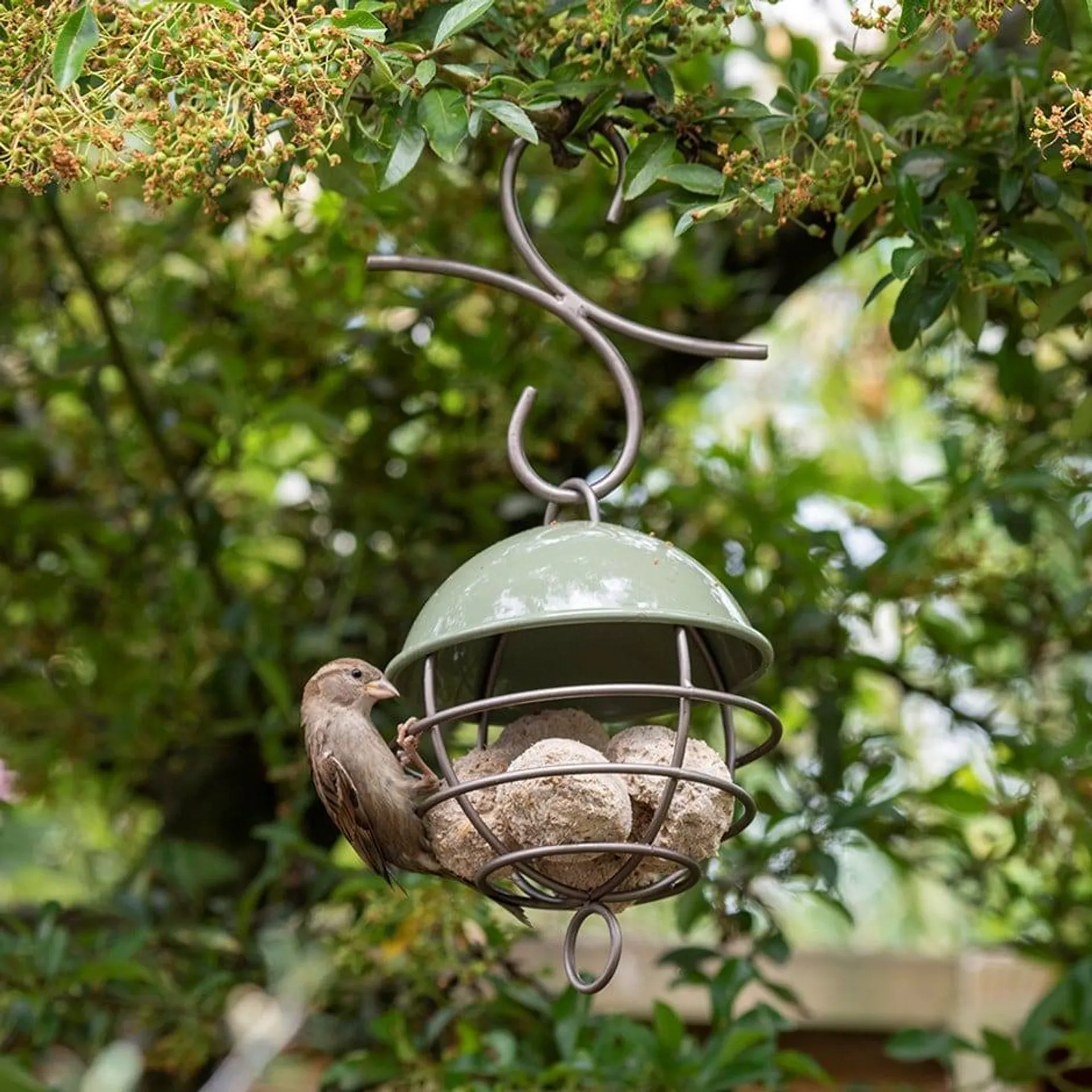 Satellite fat ball feeder - Crocus green