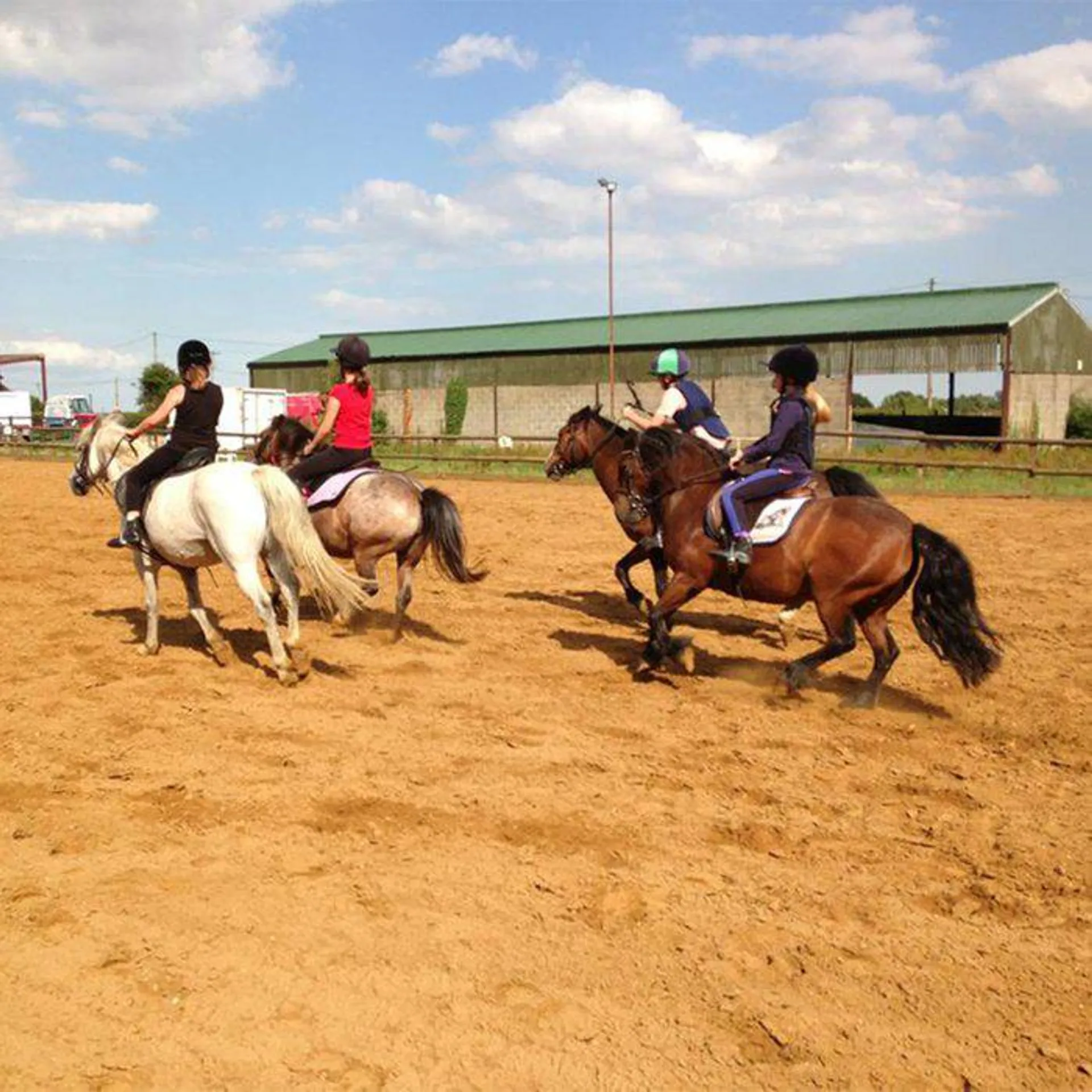 One Hour Horse Riding Experience - UK Wide