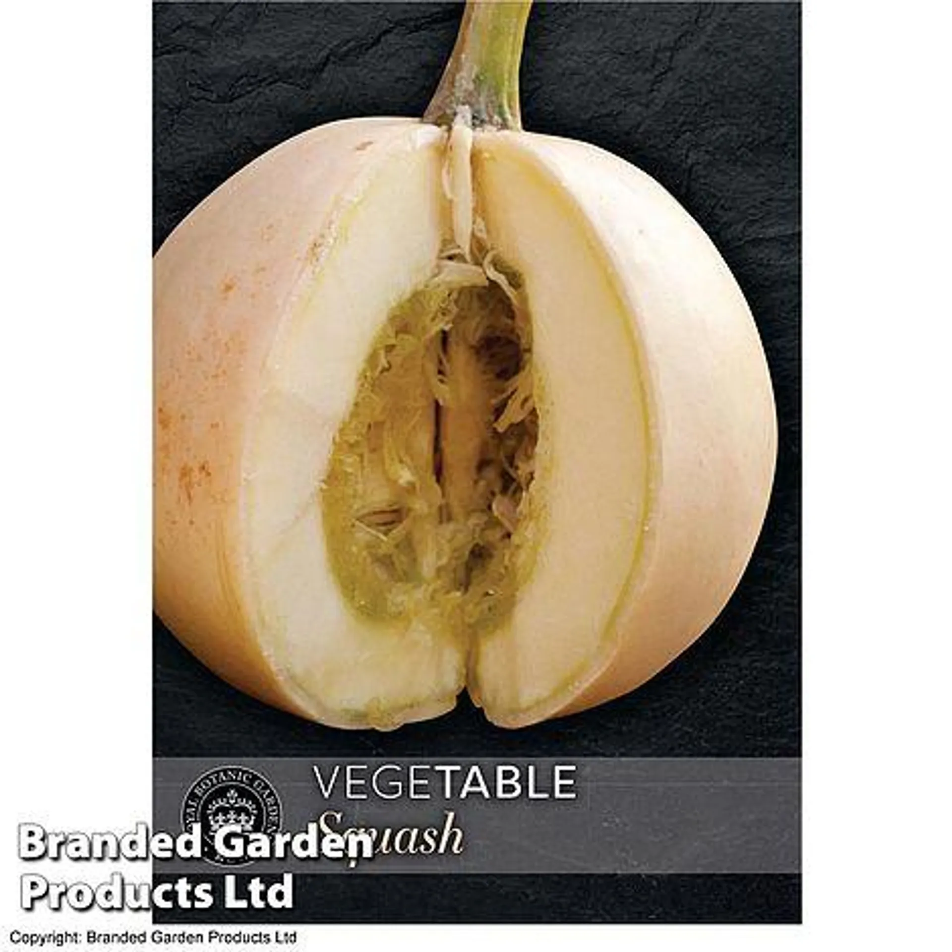 Squash 'Buffy Ball' F1 Hybrid (Winter) - Kew Vegetable Seed Collection